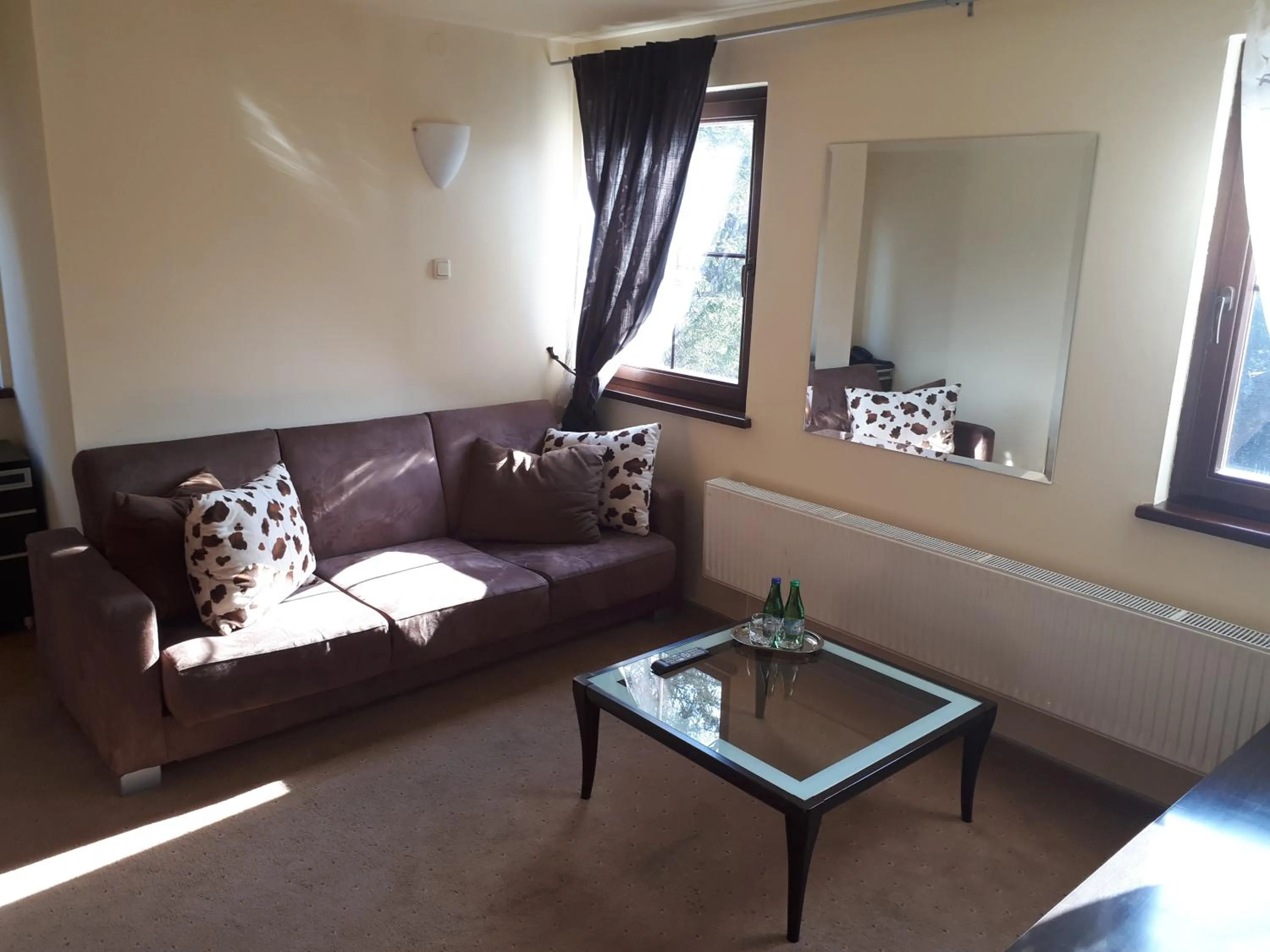 Living room in Willa Silesia