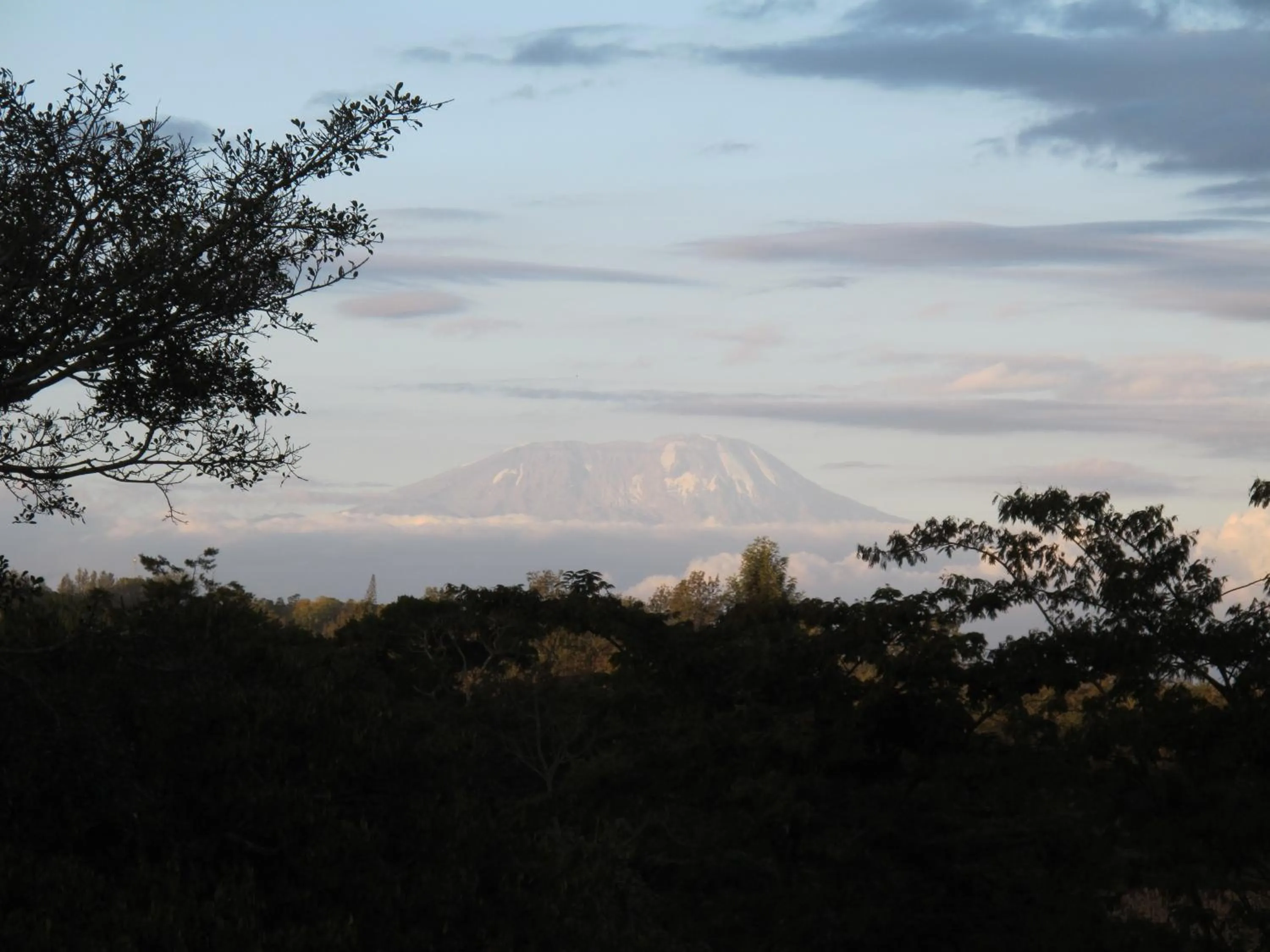 View (from property/room) in Ngare Sero Mountain Lodge