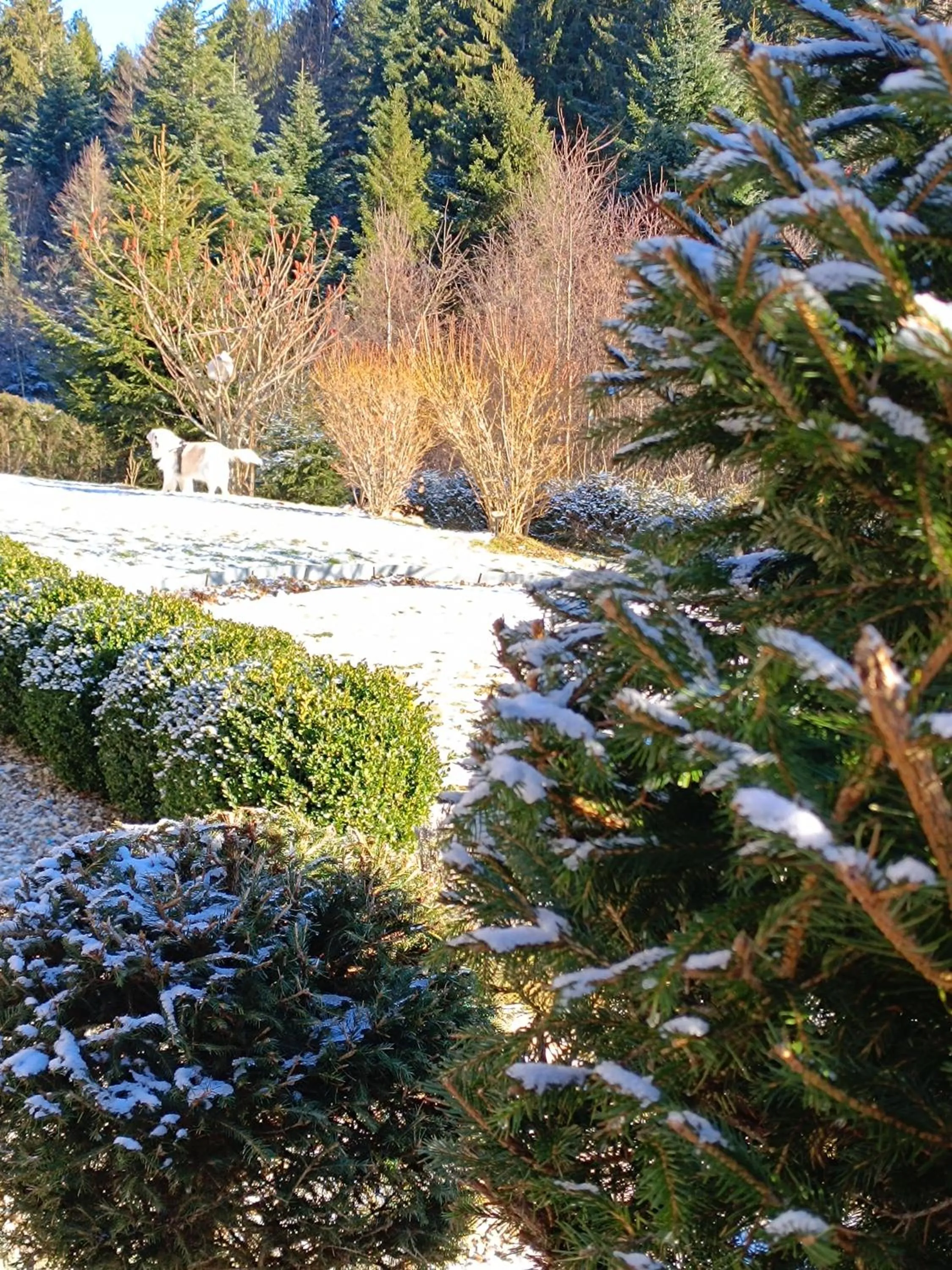 Natural landscape in L'Eden de Floridylle