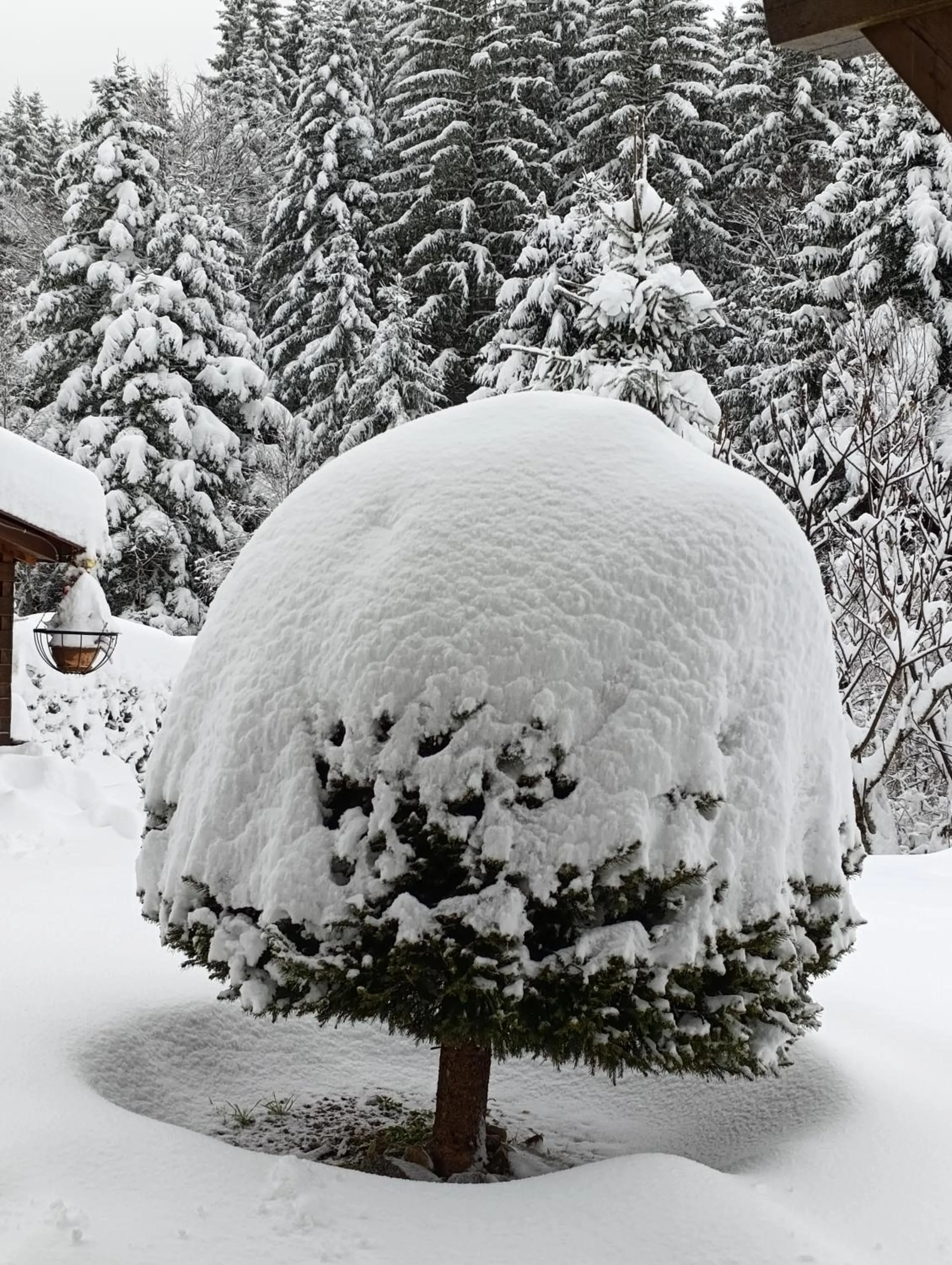 Natural landscape in L'Eden de Floridylle