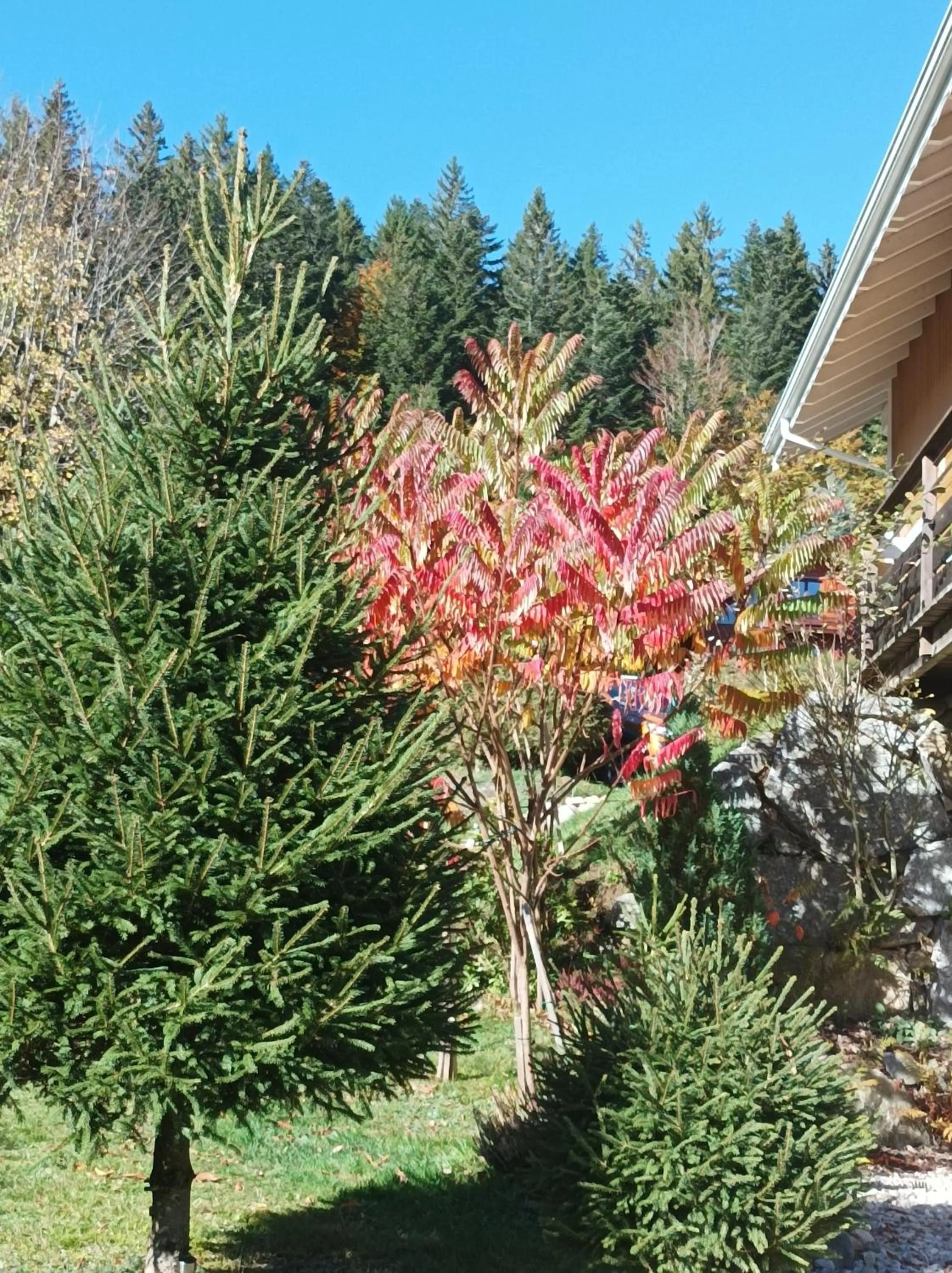 Natural landscape in L'Eden de Floridylle