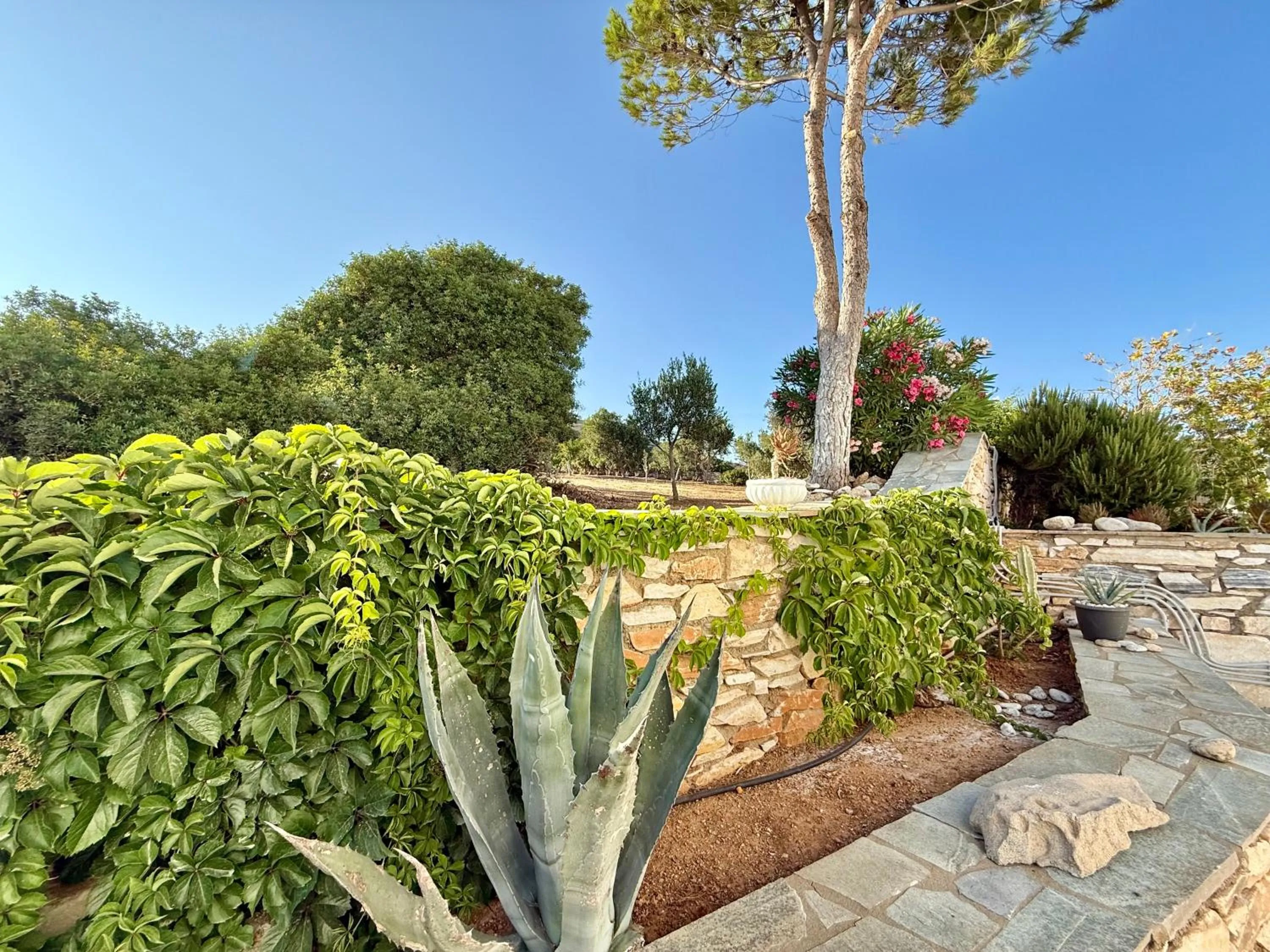 Garden view in Yaleena Residences