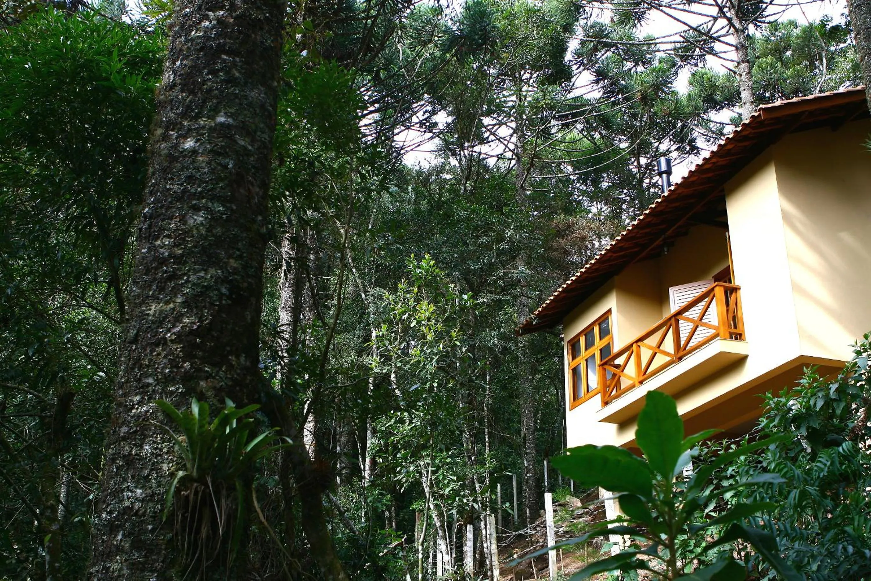 Facade/entrance in Pousada Chalé da Floresta
