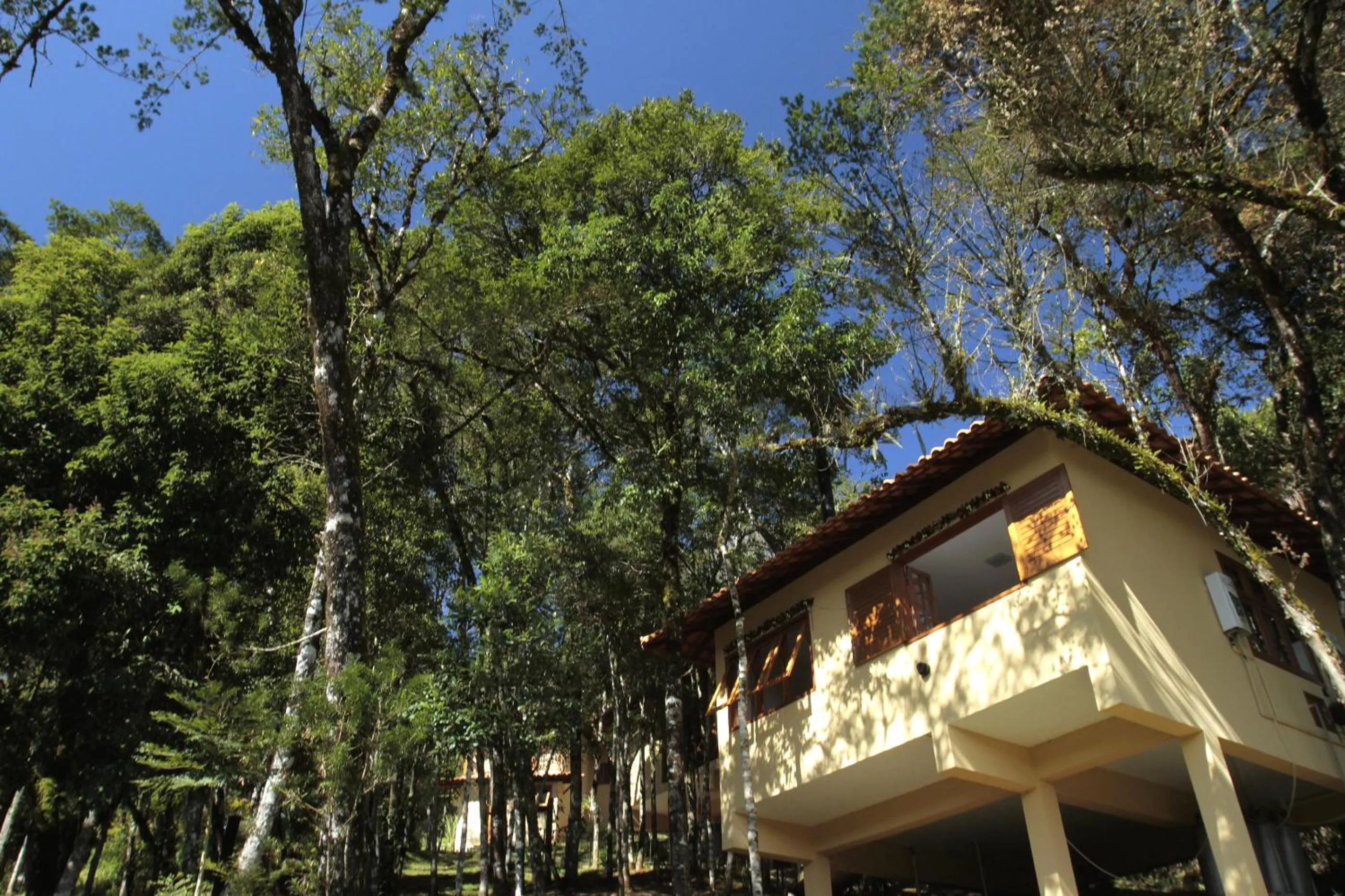 Facade/entrance in Pousada Chalé da Floresta