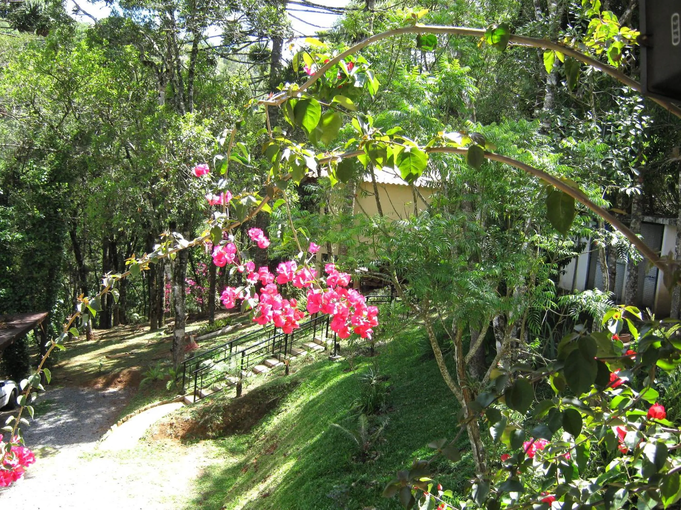 Garden in Pousada Chalé da Floresta