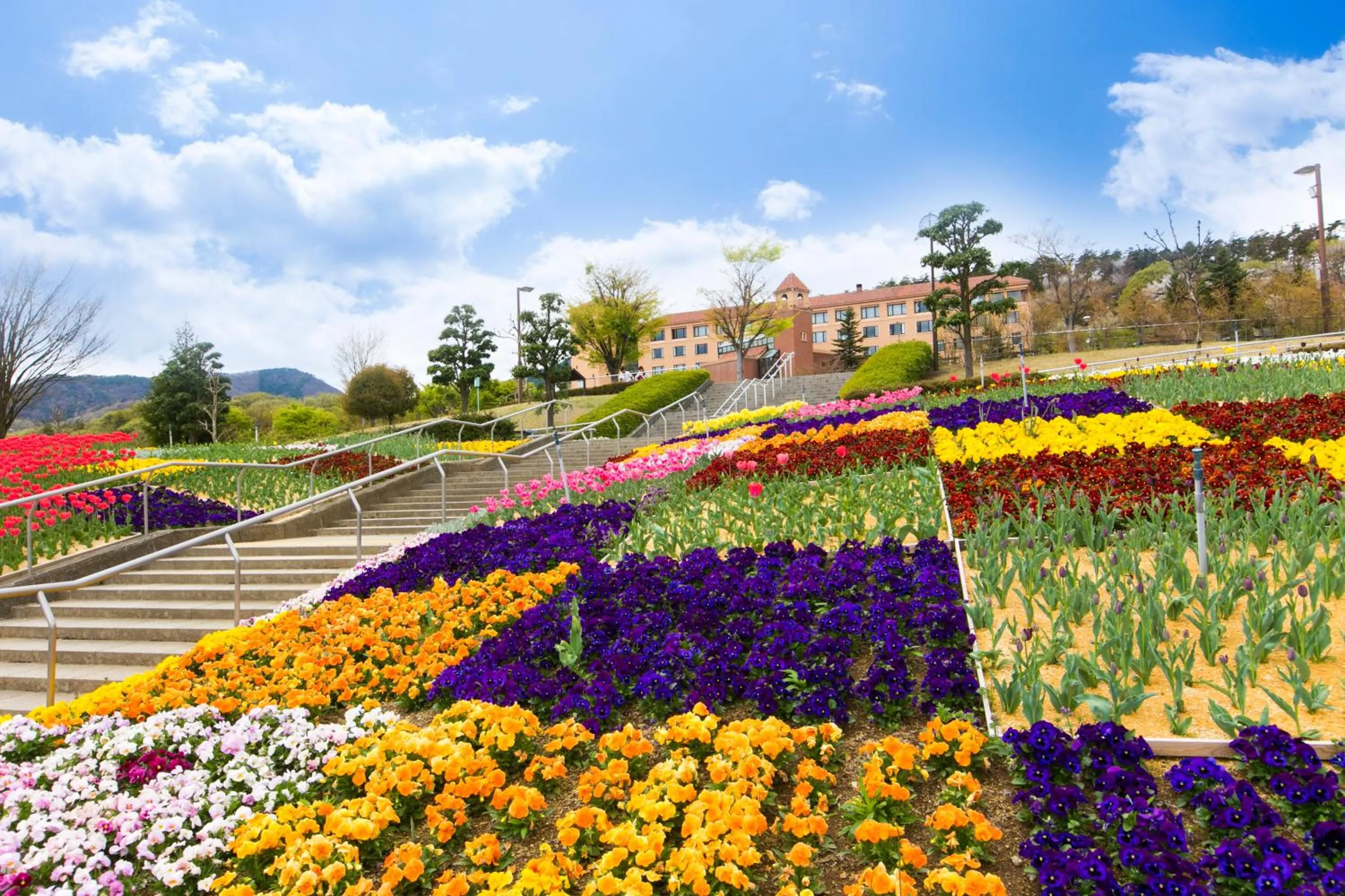 Property building in Fruit Park Fujiya Hotel