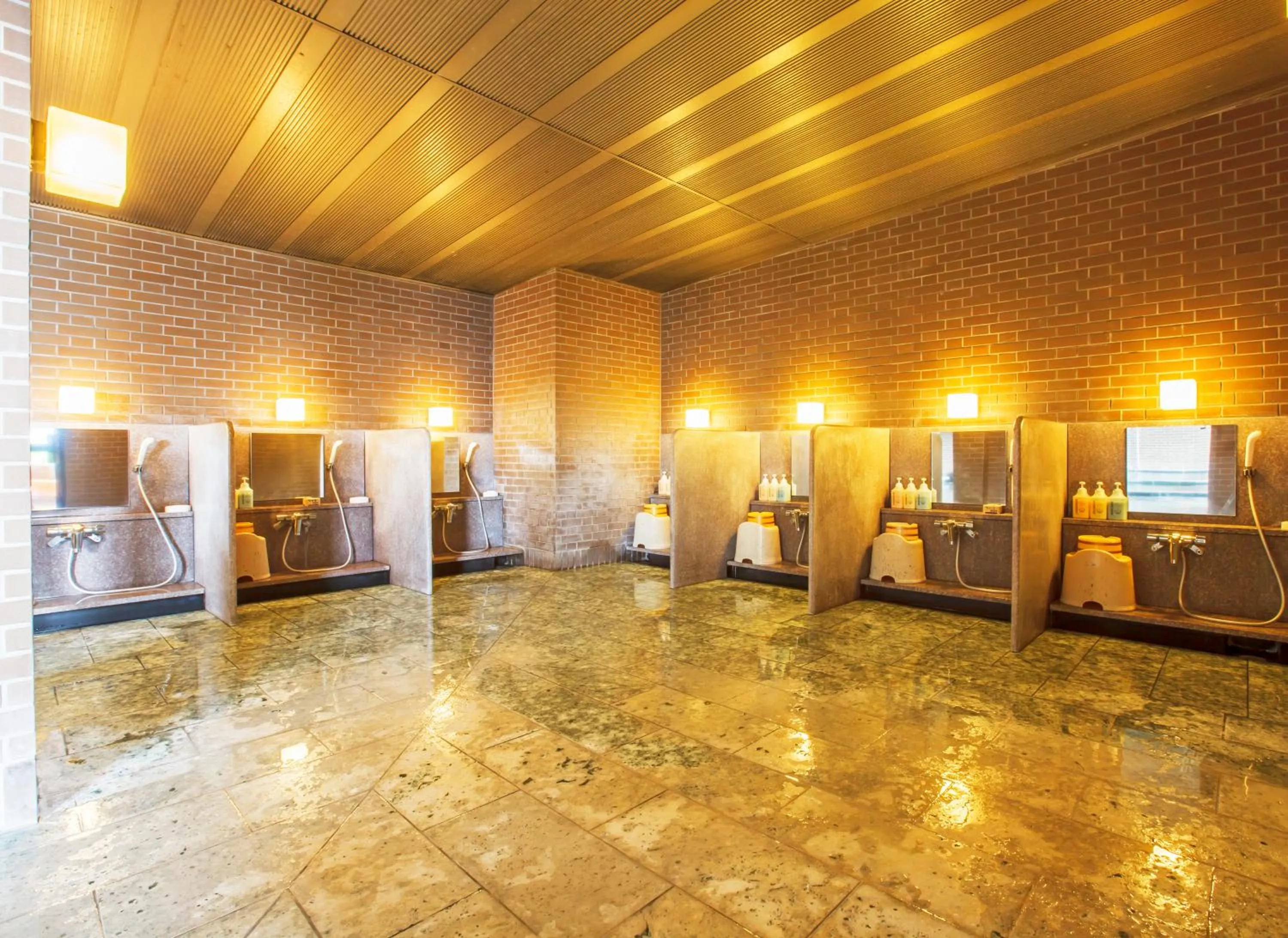 Hot Spring Bath in Fruit Park Fujiya Hotel