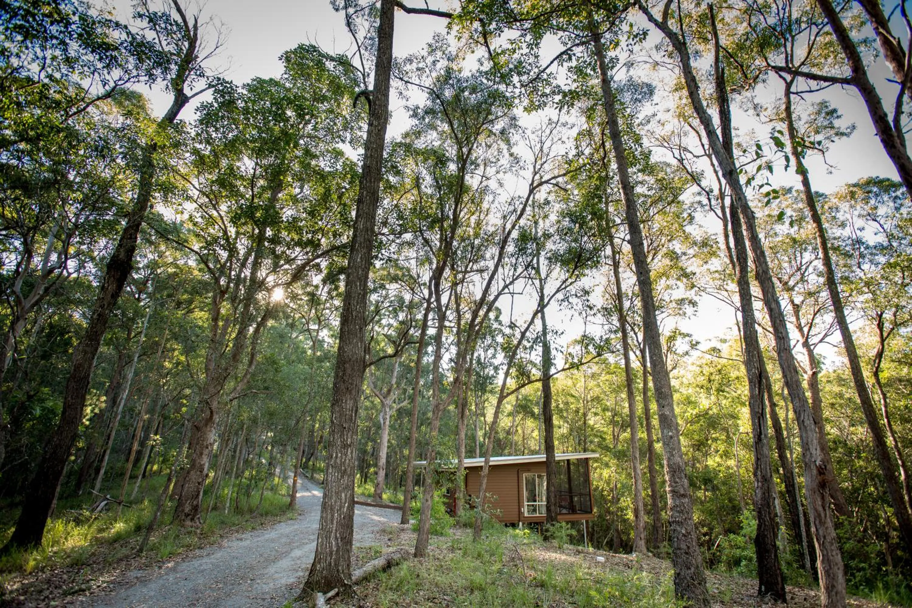 Property building in Mt Cotton Retreat