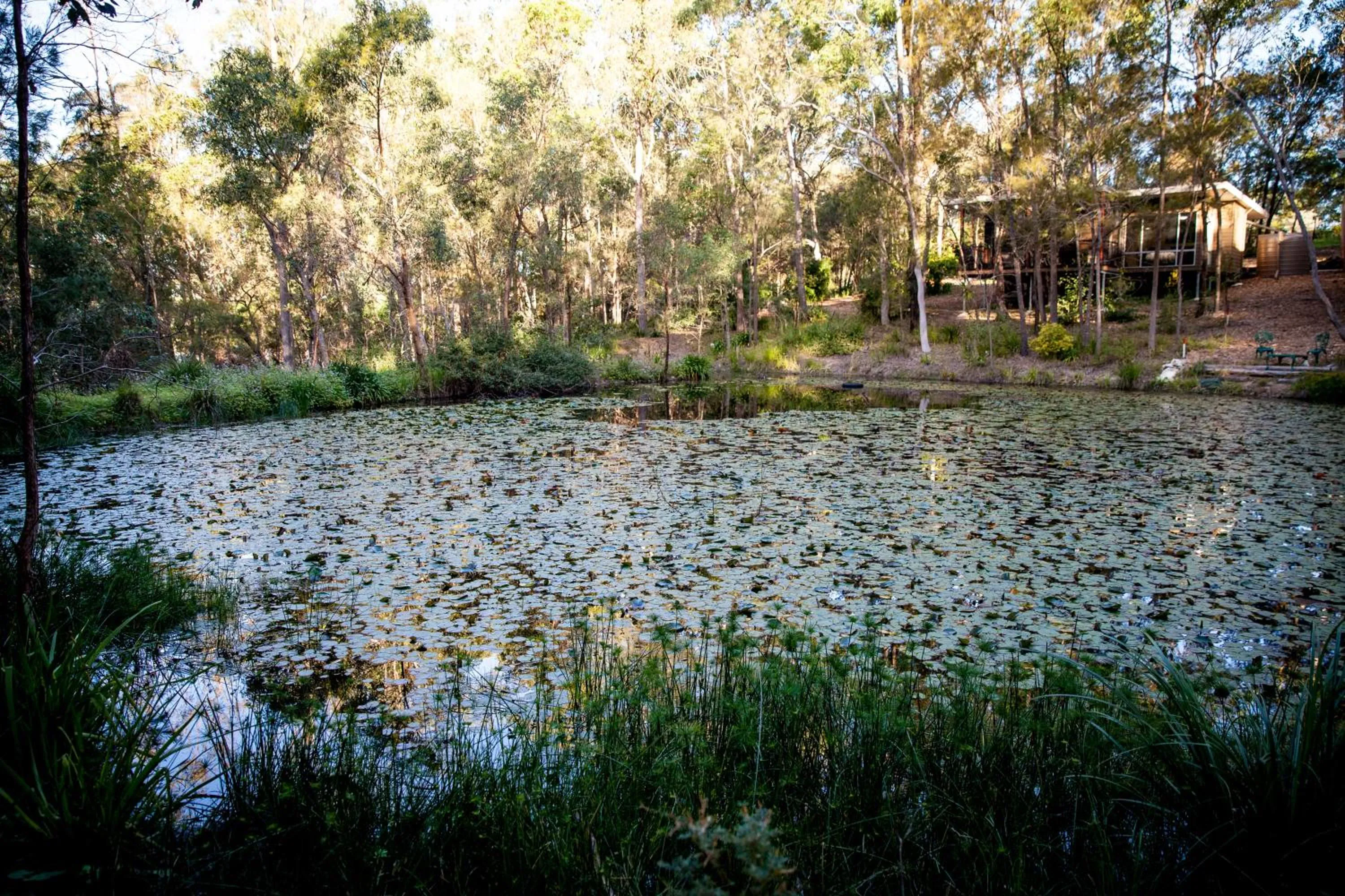 Property building in Mt Cotton Retreat