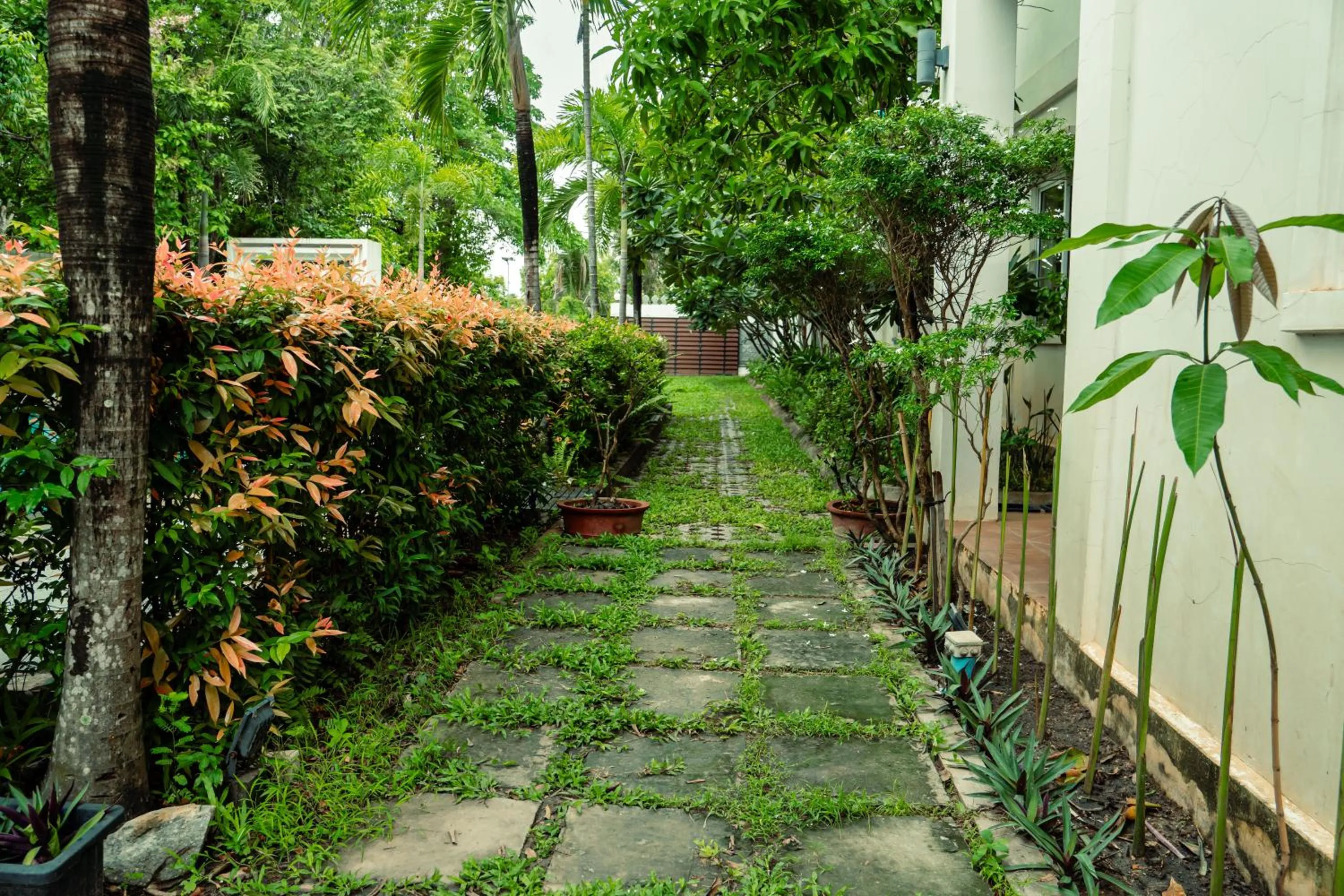 Spring in Siemreap Green Residence