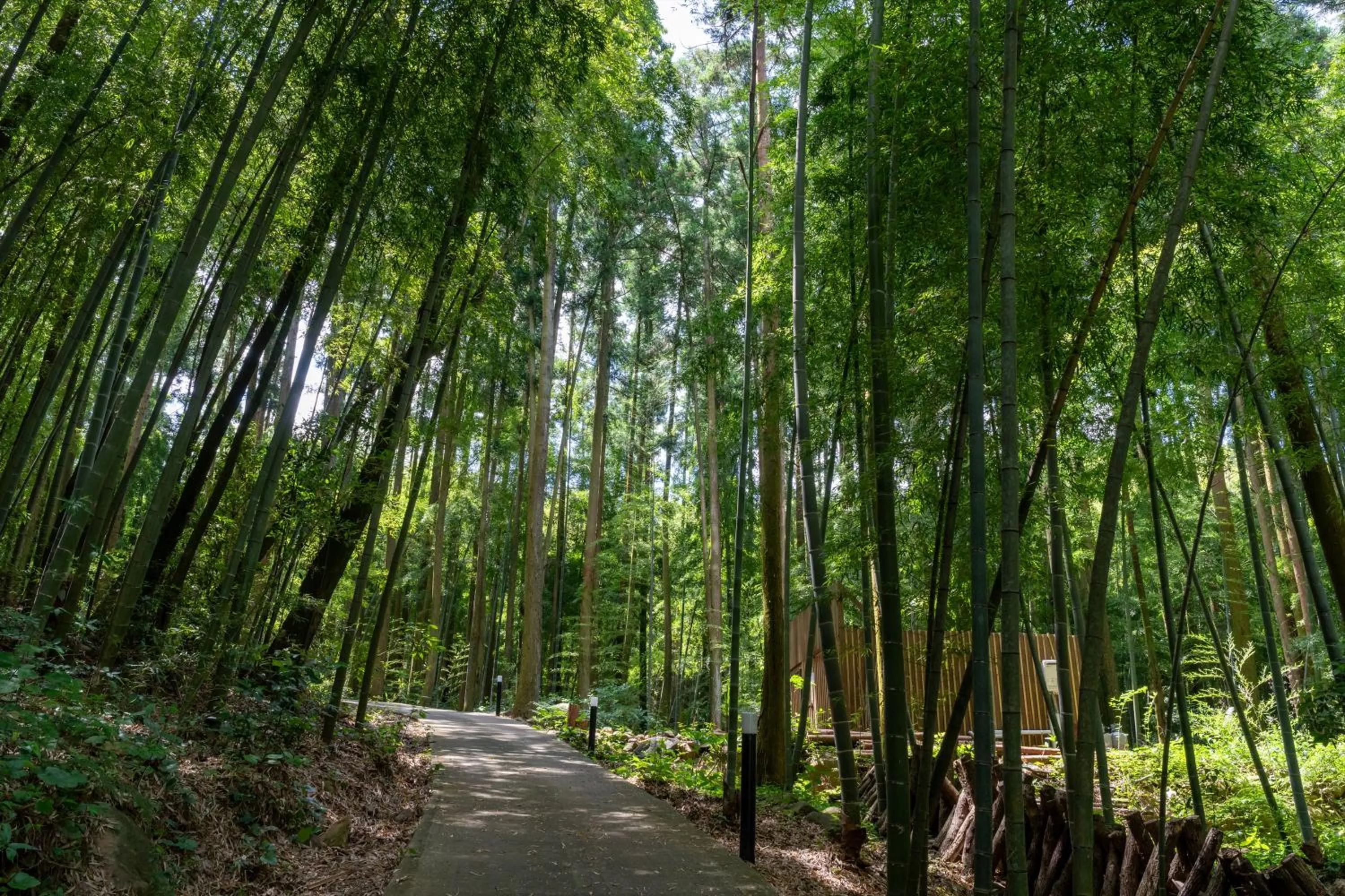 Off site in Tsuwabuki no Hana