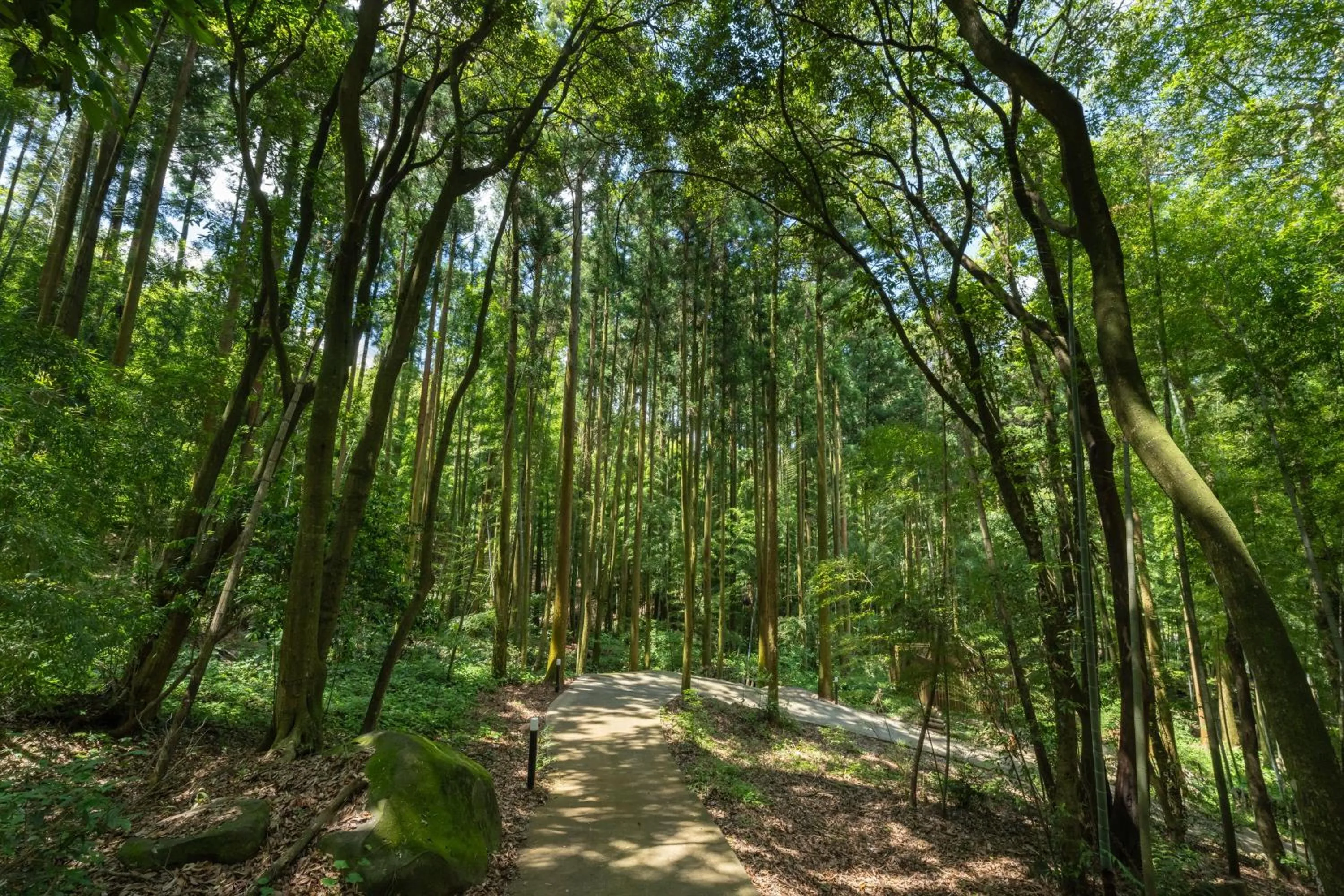 Off site in Tsuwabuki no Hana