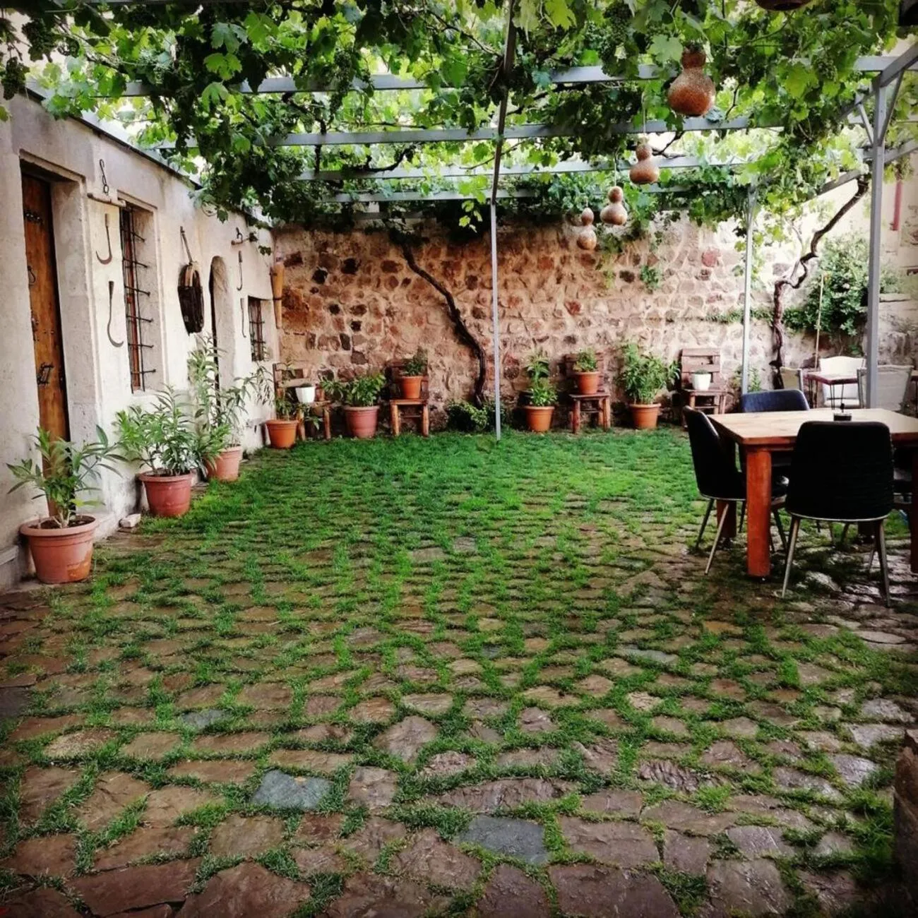 Garden in My Cave La Maison Du Reve