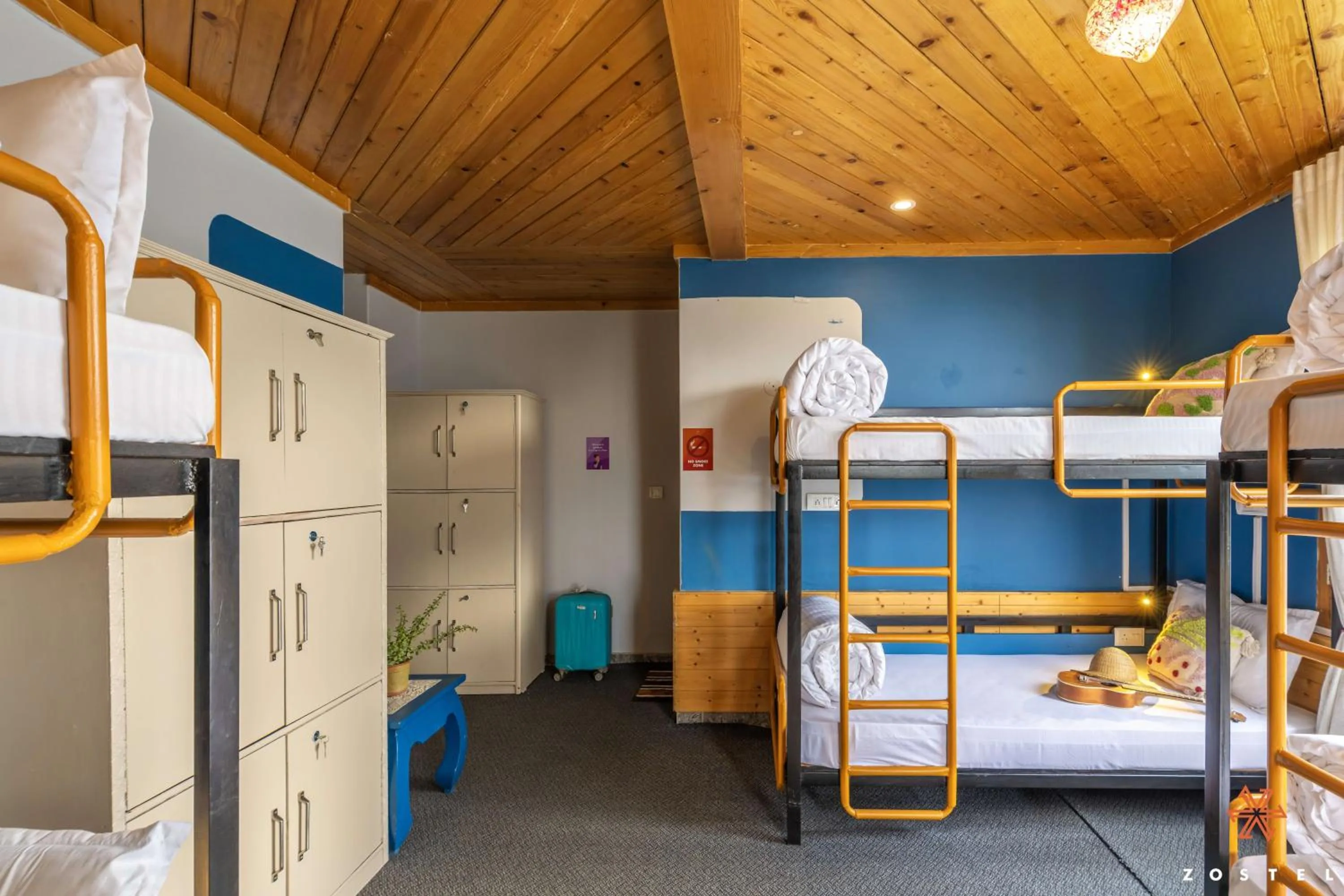 Bed in Zostel Shoja, Jibhi