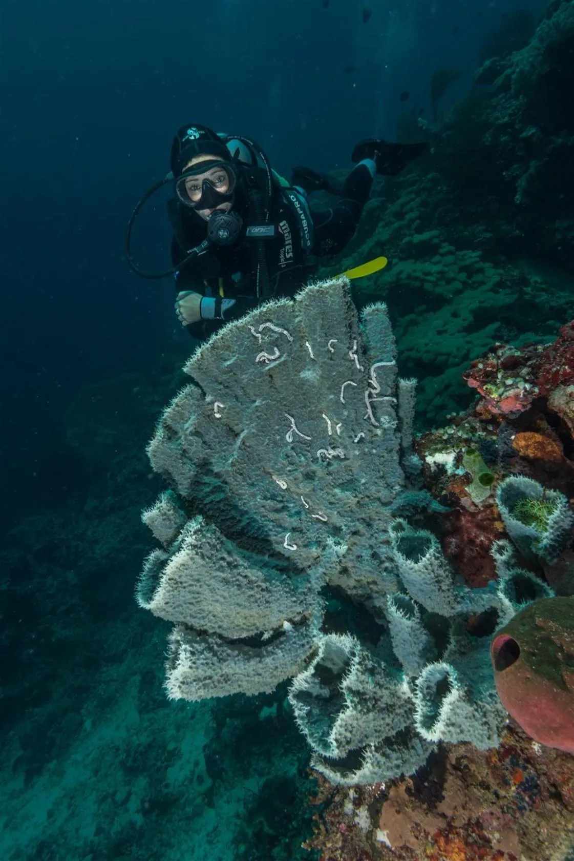 Natural landscape in Hotel Pondok Sari Beach & SPA Resort