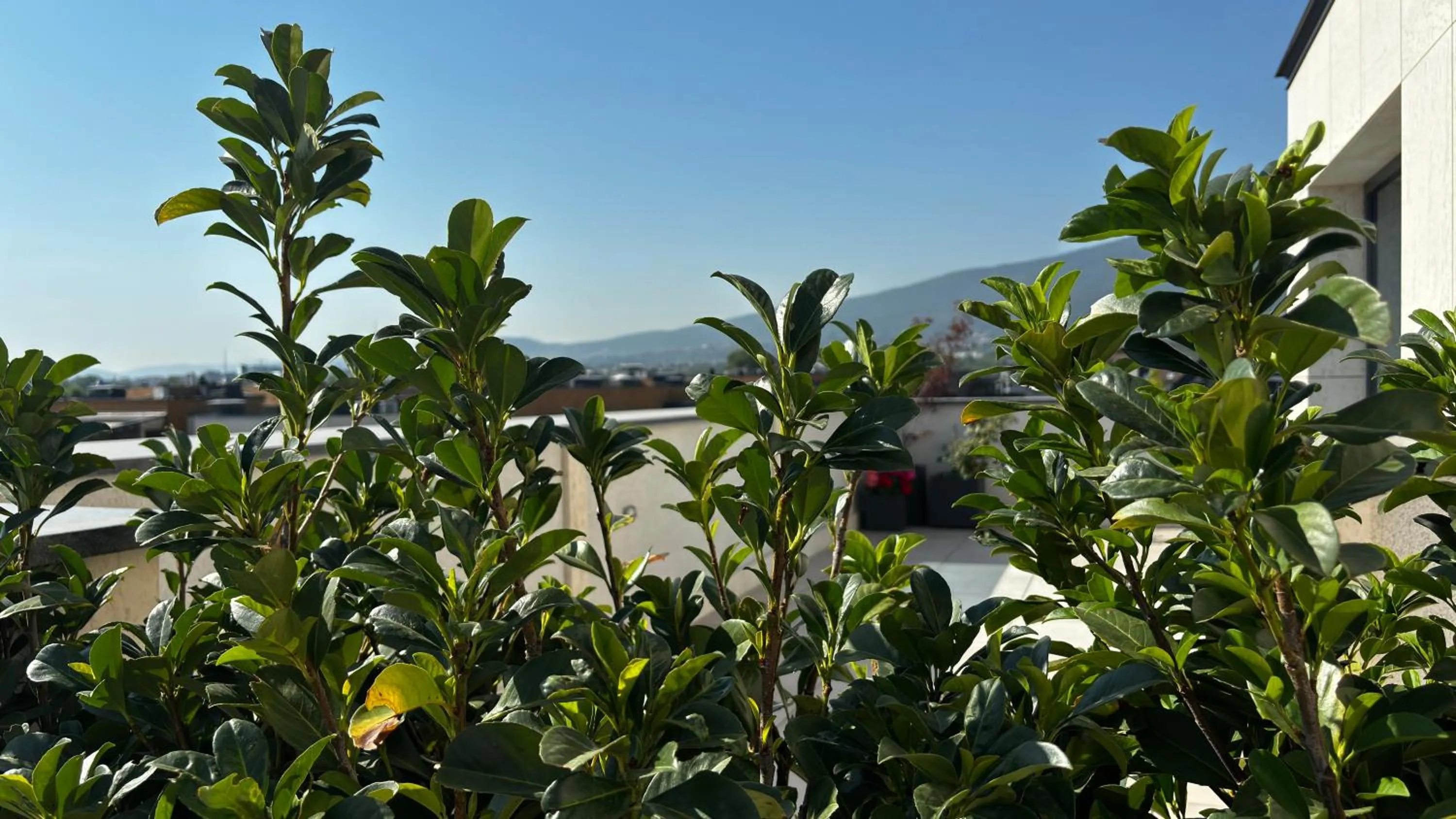 View (from property/room) in Blue Star Luxury Hotel