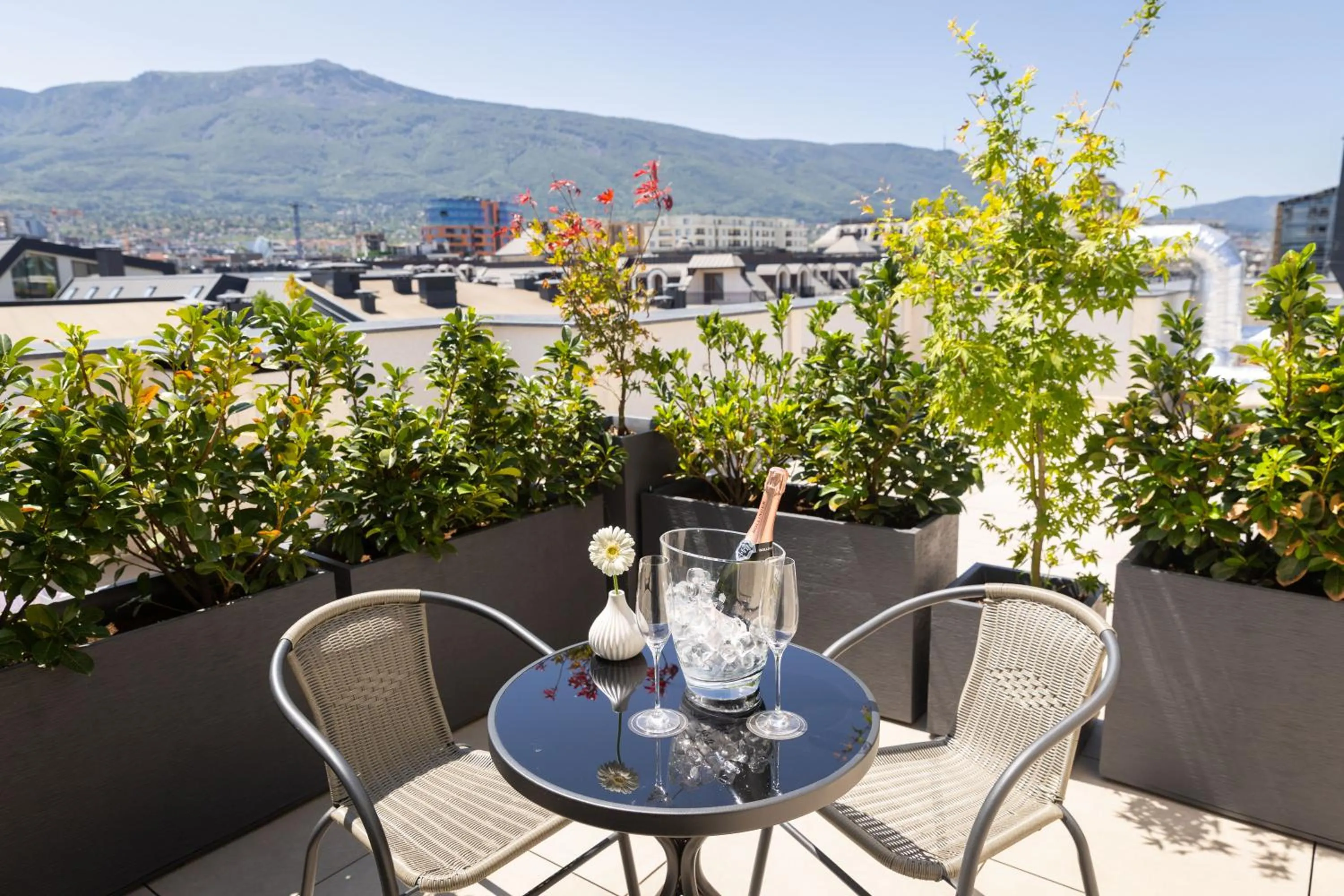 Spring in Blue Star Luxury Hotel