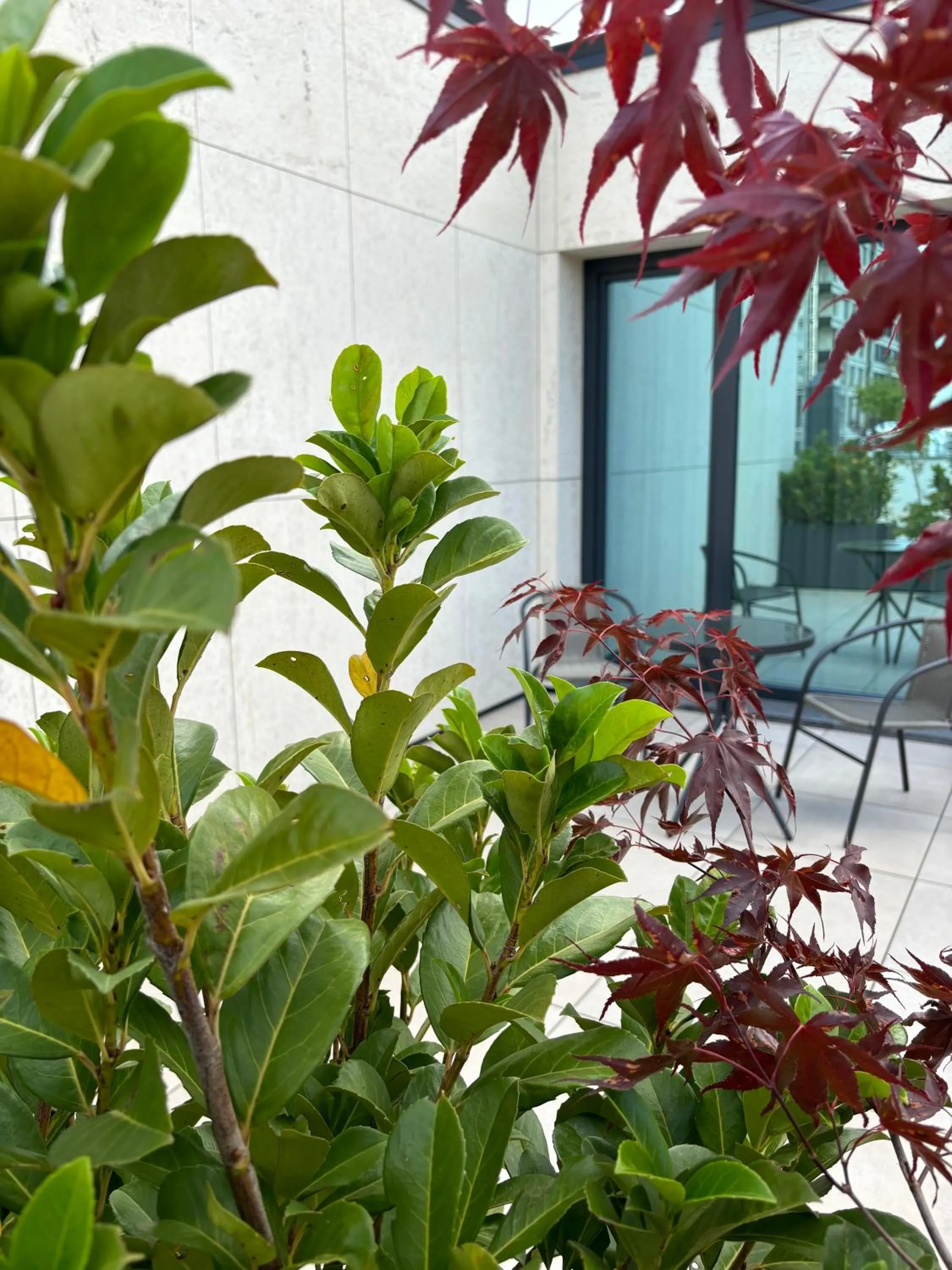 Property building in Blue Star Luxury Hotel