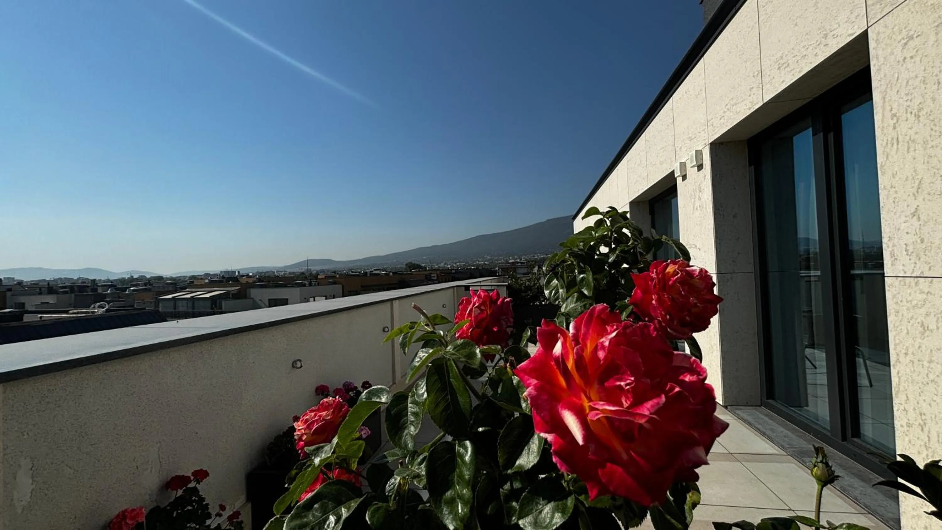 Day in Blue Star Luxury Hotel