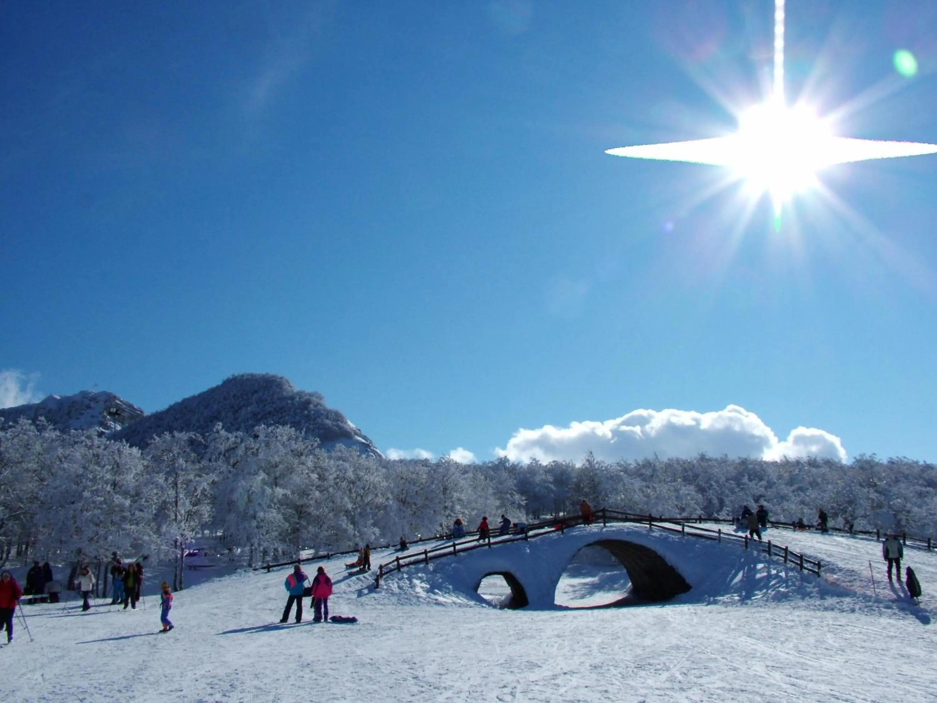 Activities in Albergo Conte Max