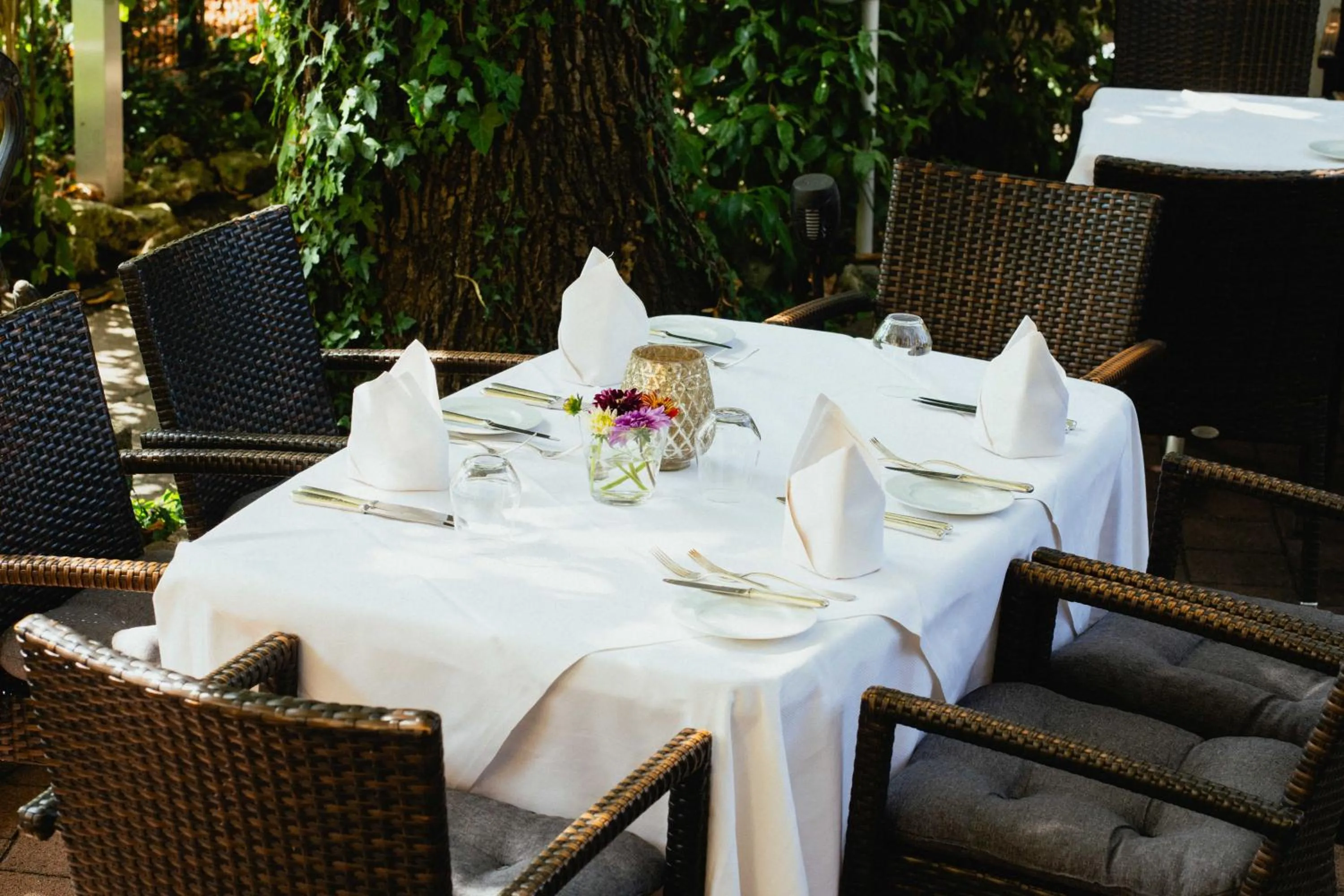 Restaurant/places to eat in Hotel-Restaurant Schwanen