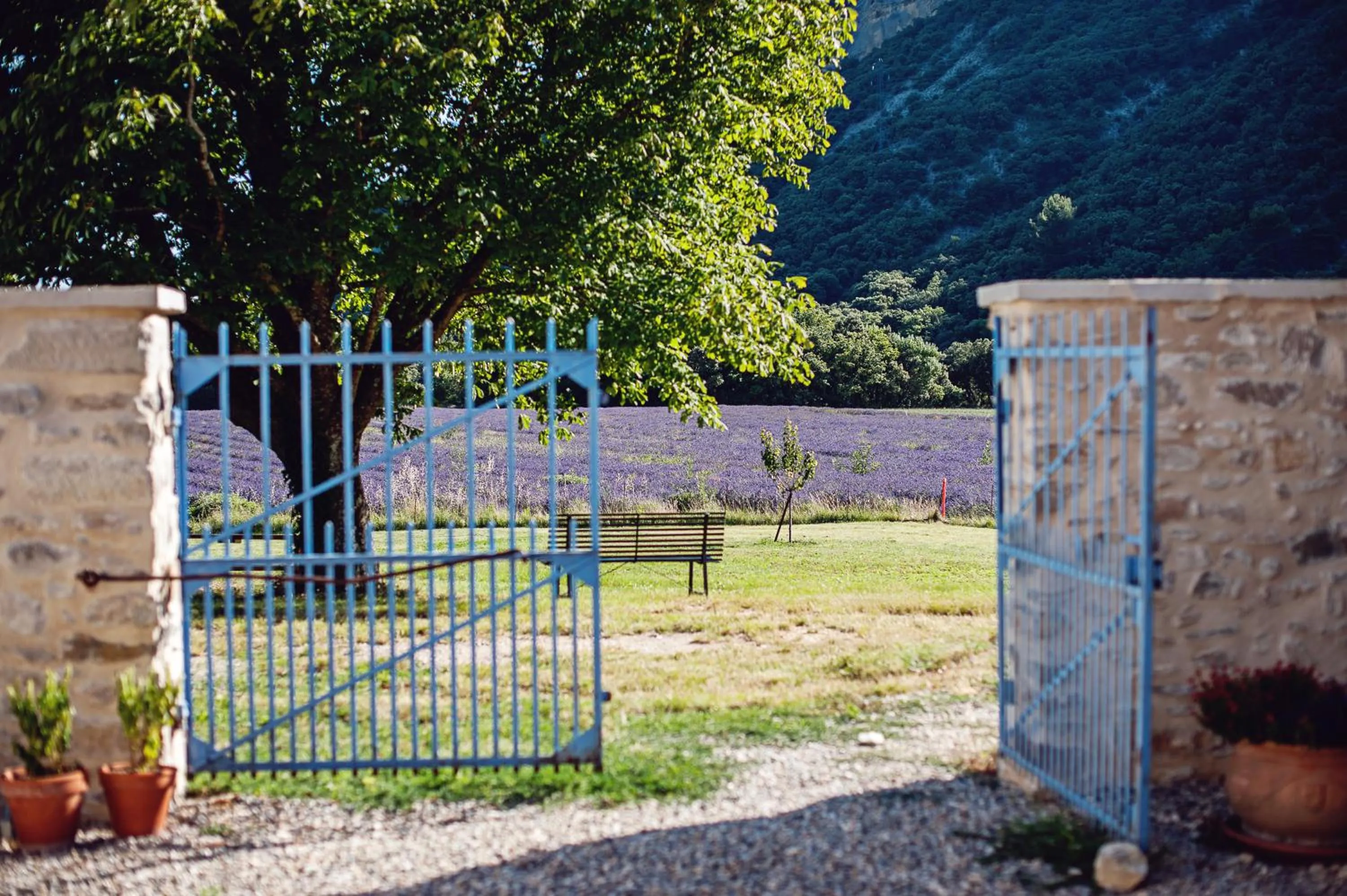 Garden view in Mas De La Lance