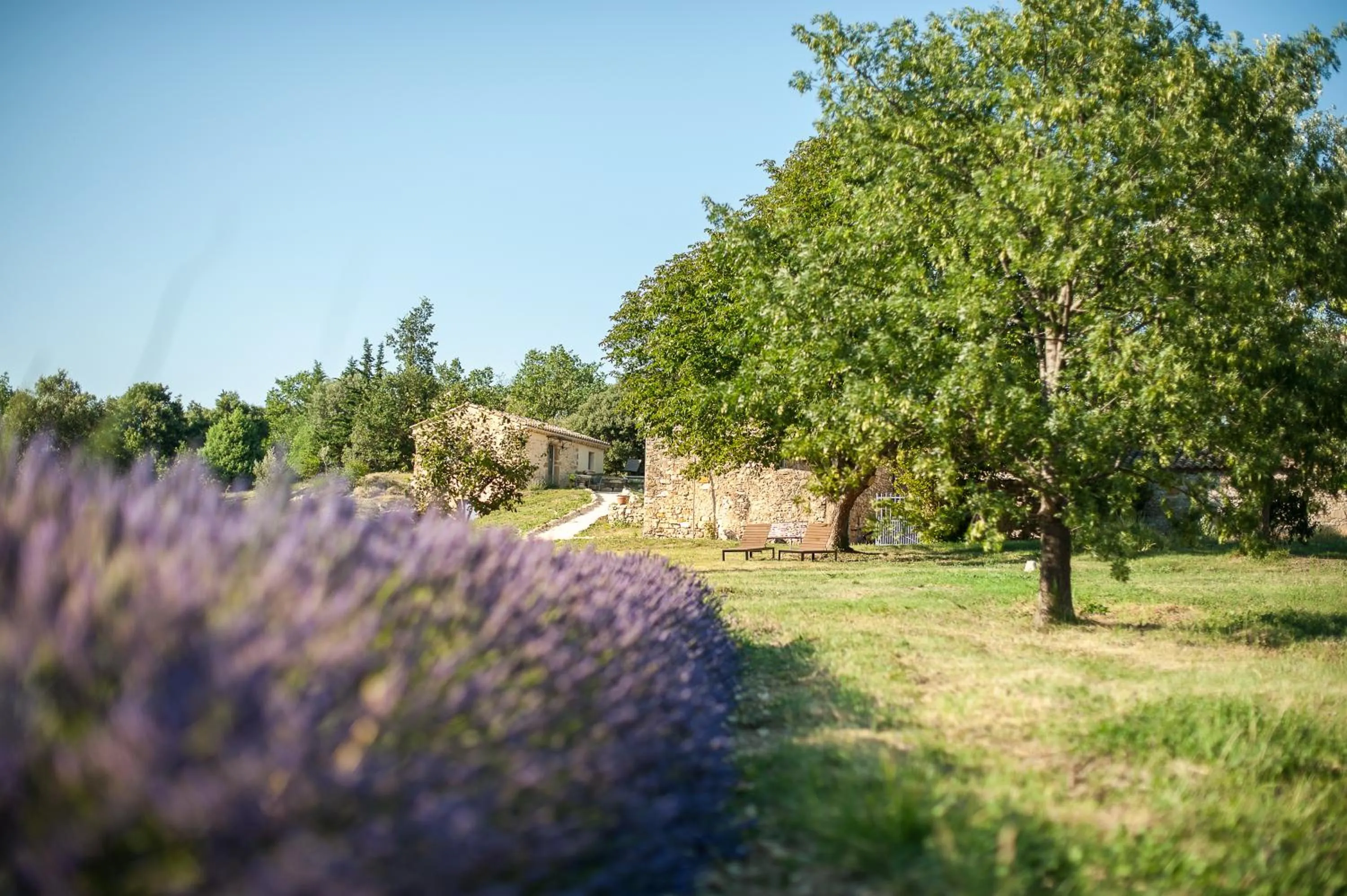 Garden view in Mas De La Lance