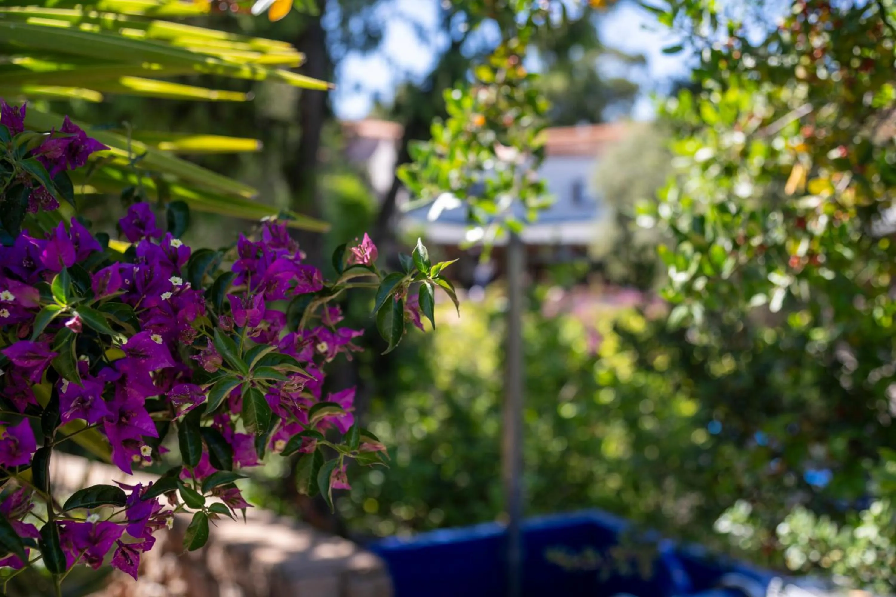 Natural landscape in AHR Altura Hotel Porto Rafael