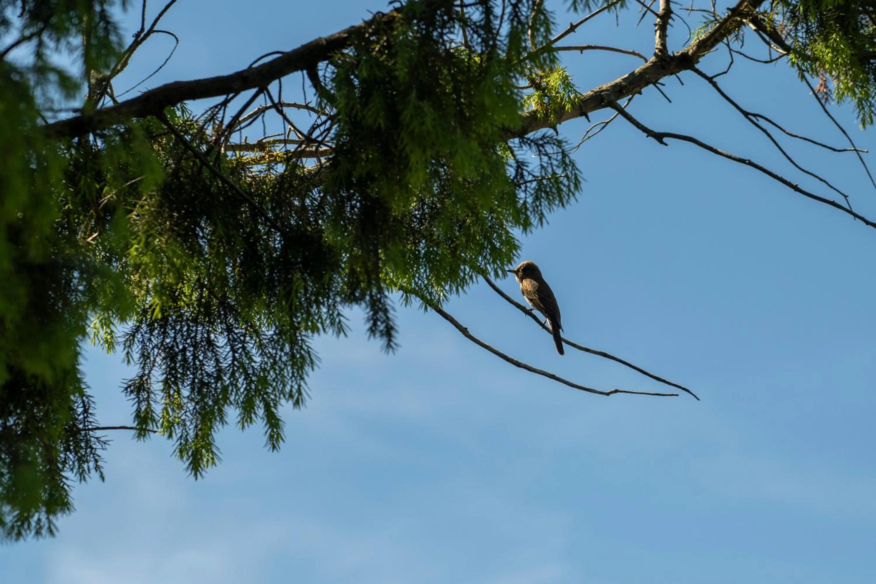 Natural landscape in AHR Altura Hotel Porto Rafael