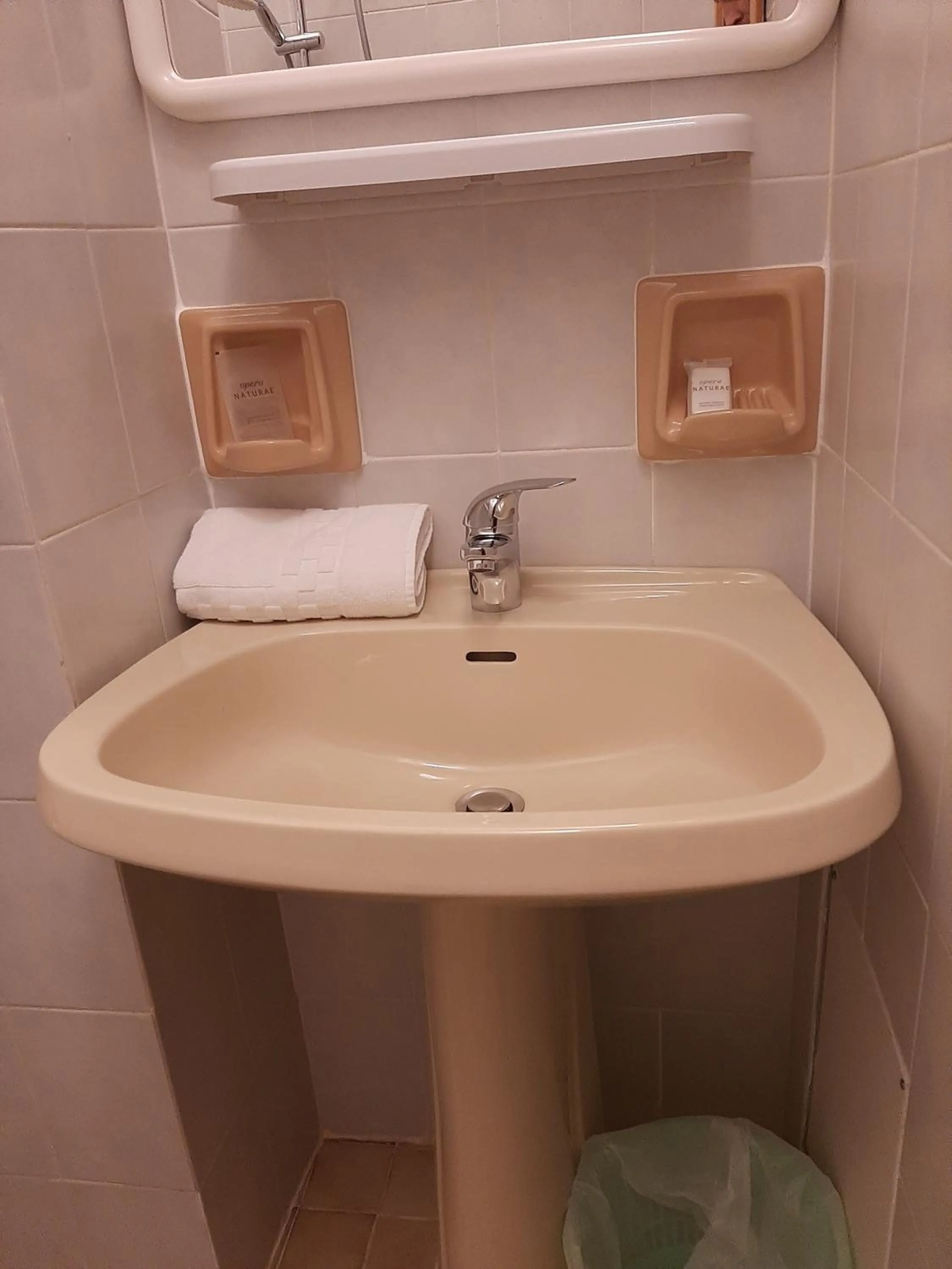 Bathroom in Hotel Cucciolo