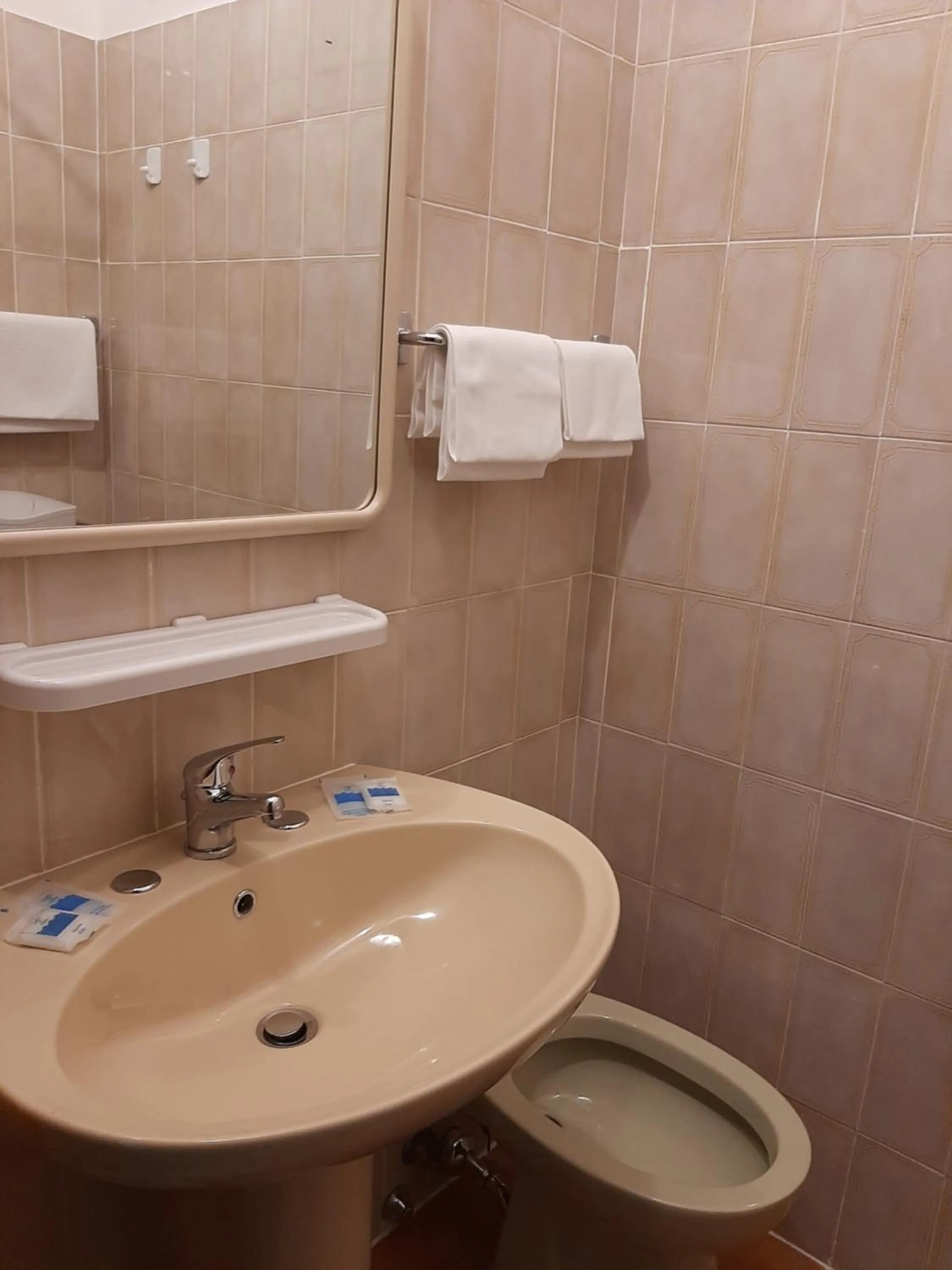 Bathroom in Hotel Cucciolo