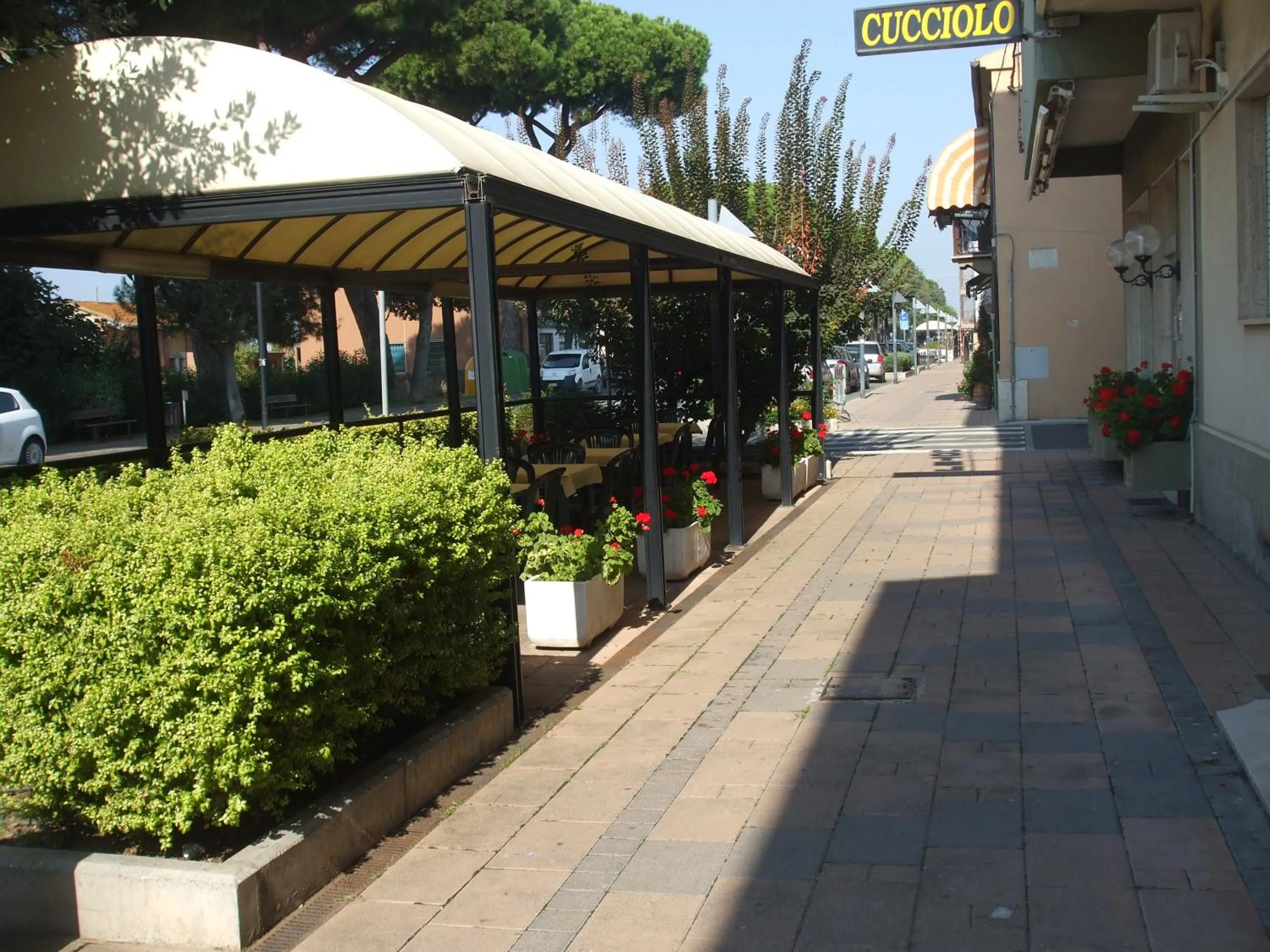 Breakfast in Hotel Cucciolo