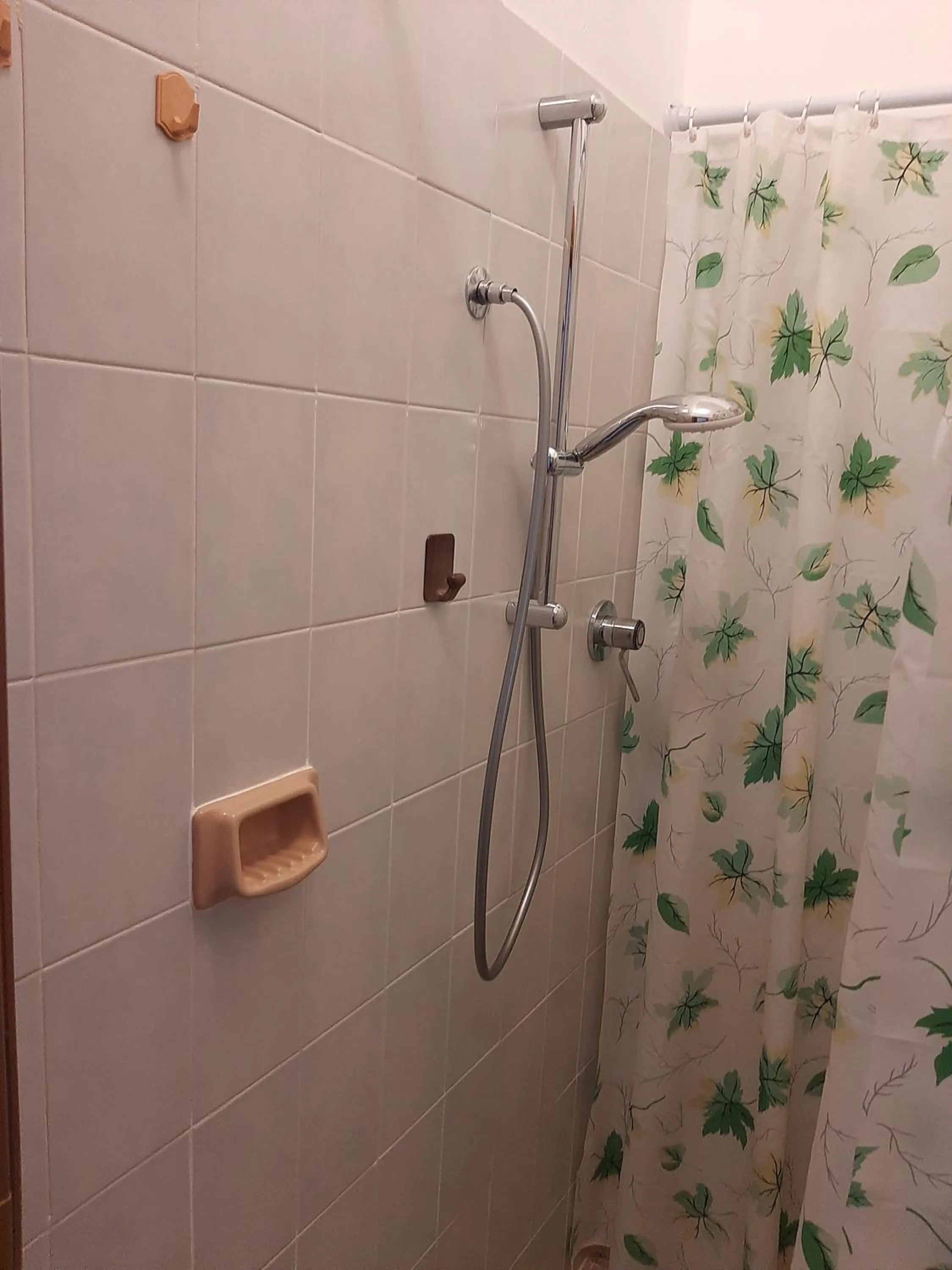 Shower in Hotel Cucciolo