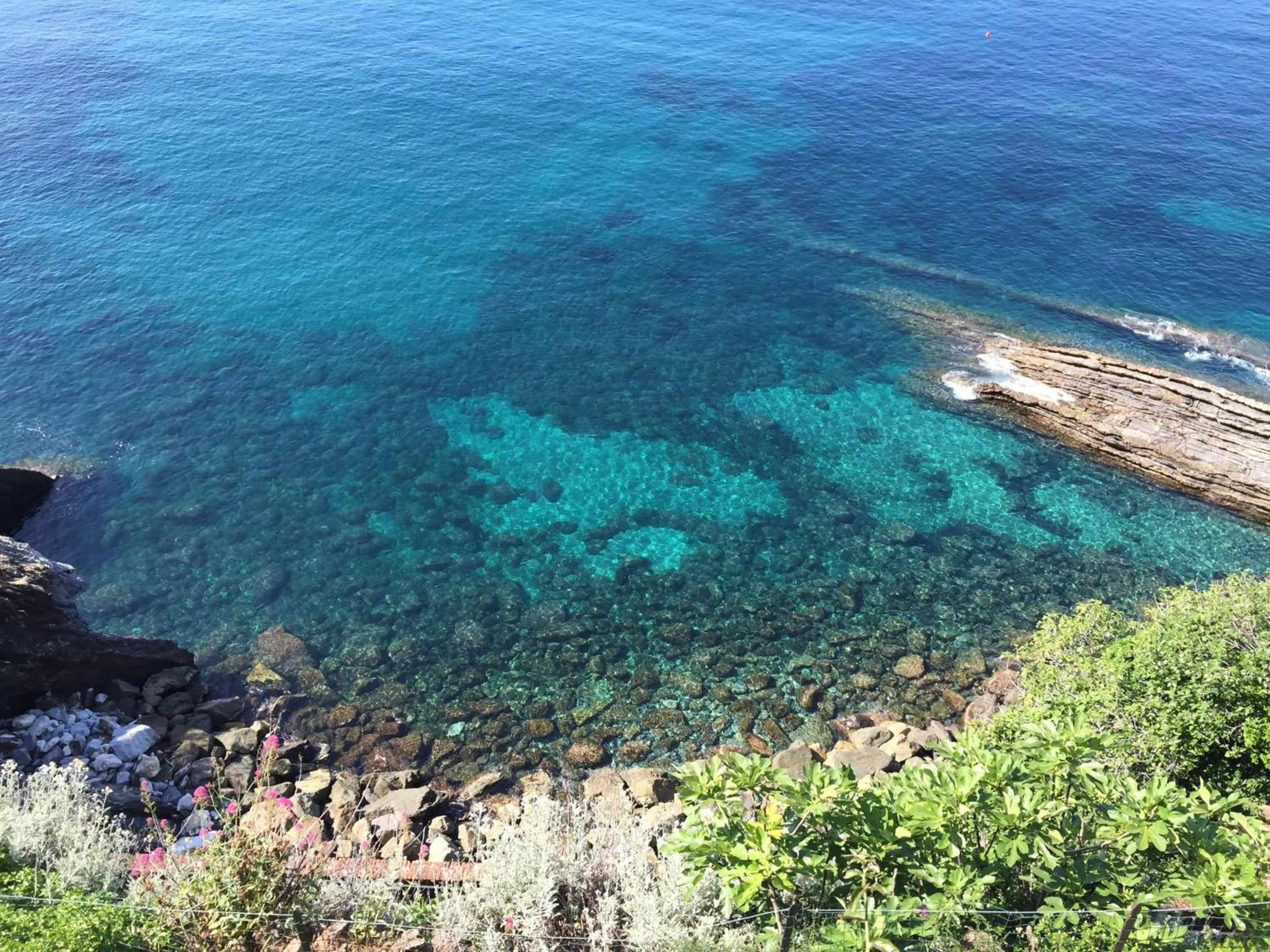 Natural landscape in Savoia Apartments