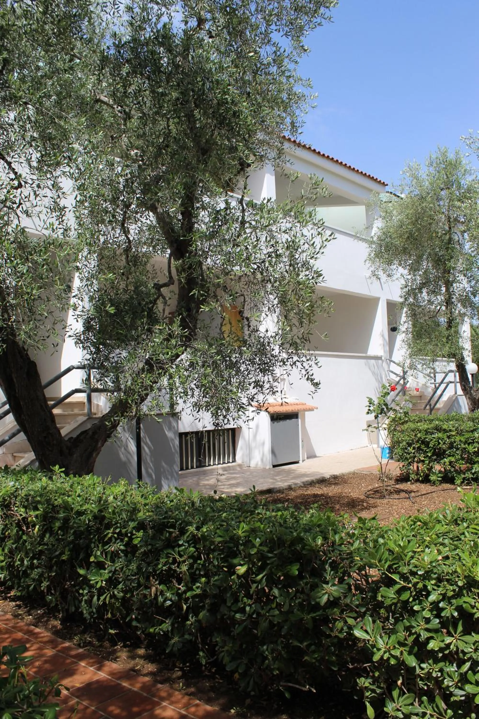 Property building in Hotel Palme Gemelle