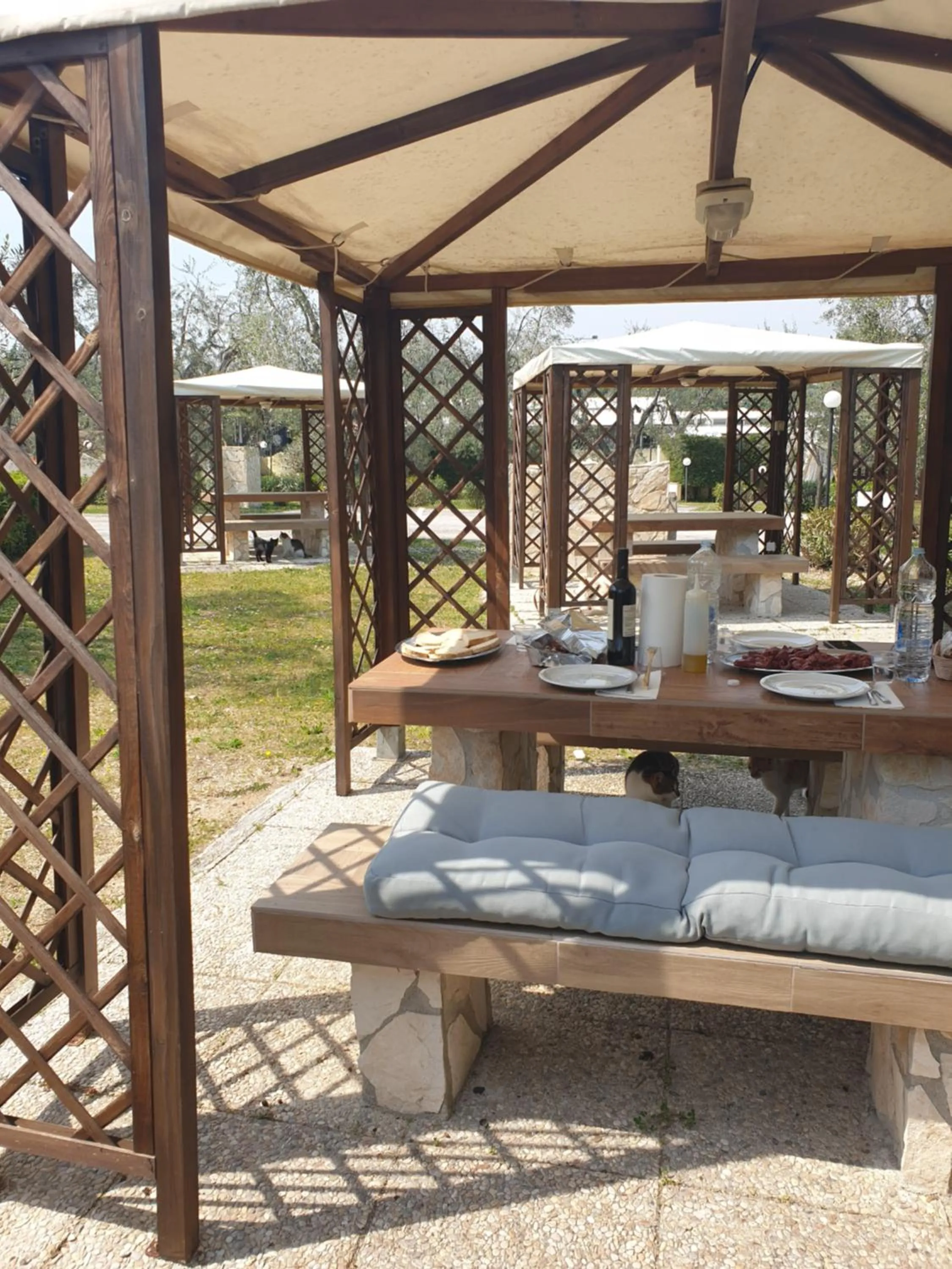Patio in Hotel Palme Gemelle