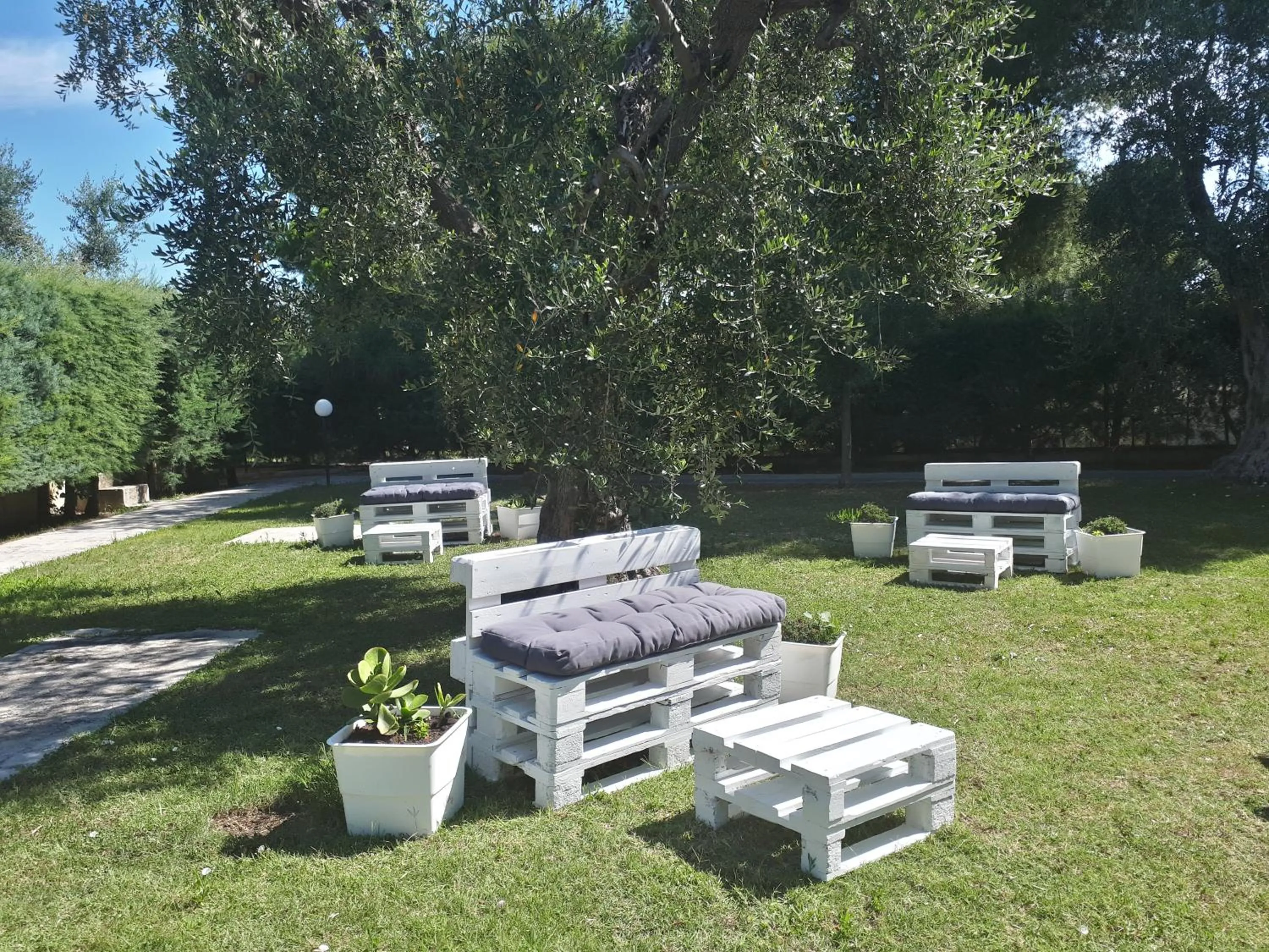 Garden in Hotel Palme Gemelle