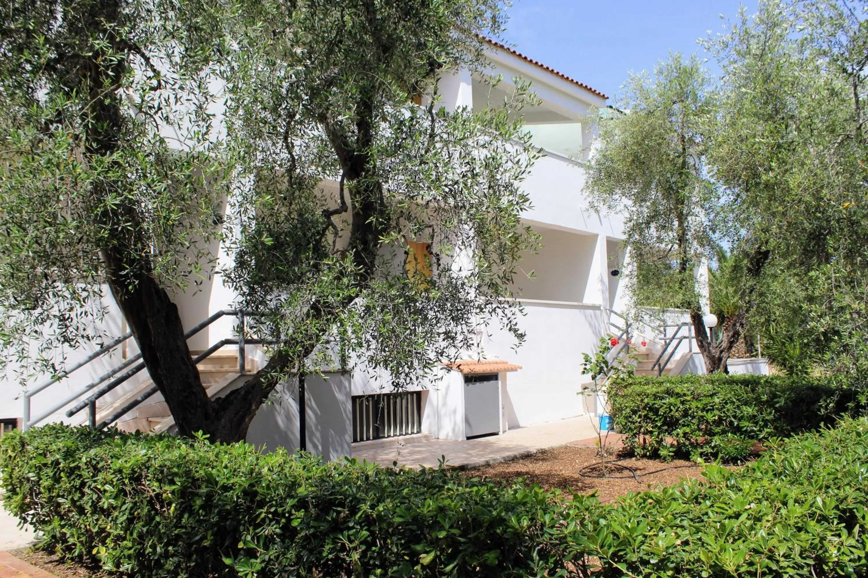 Property building in Hotel Palme Gemelle