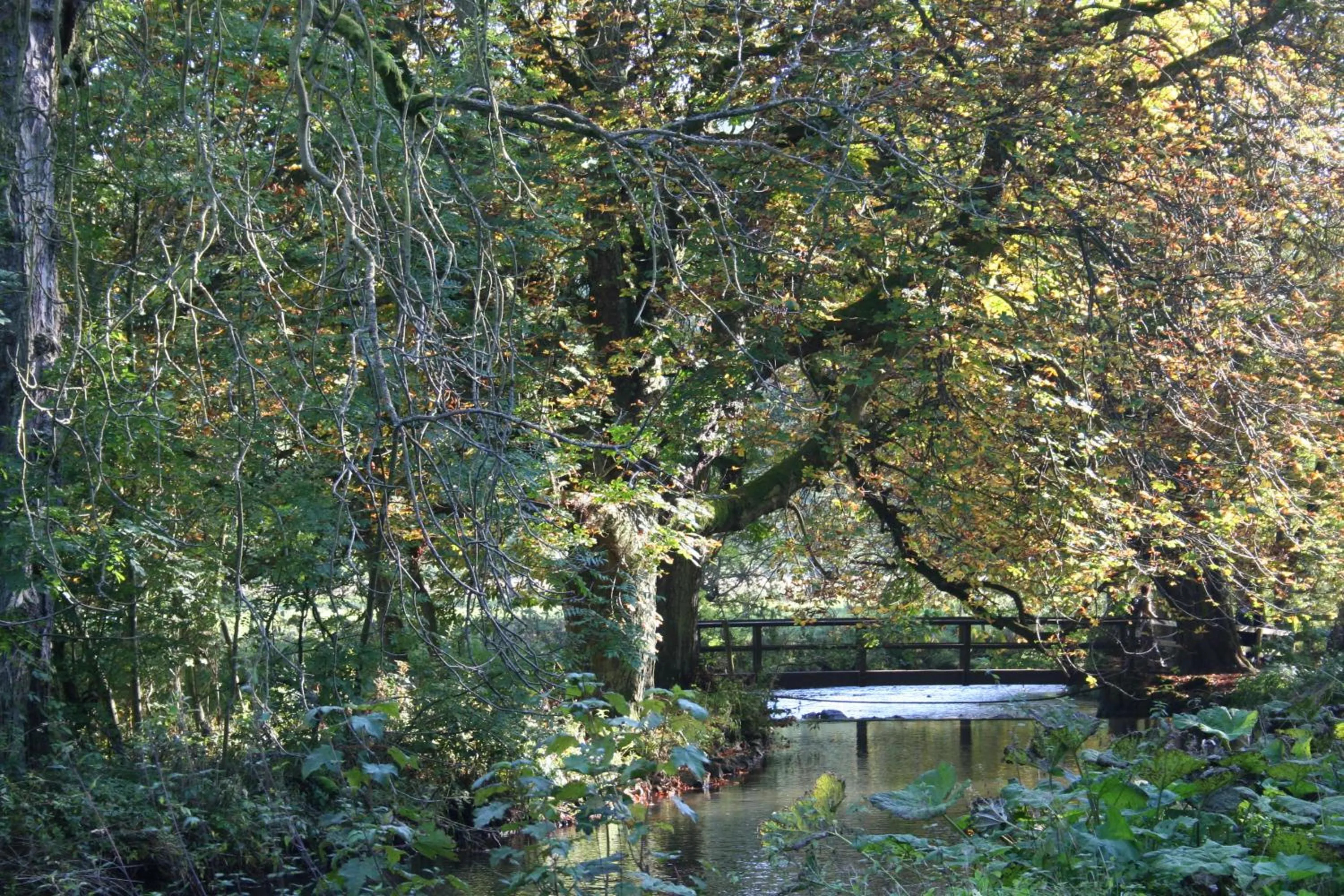 Natural landscape in Biggin Hall Country House Hotel