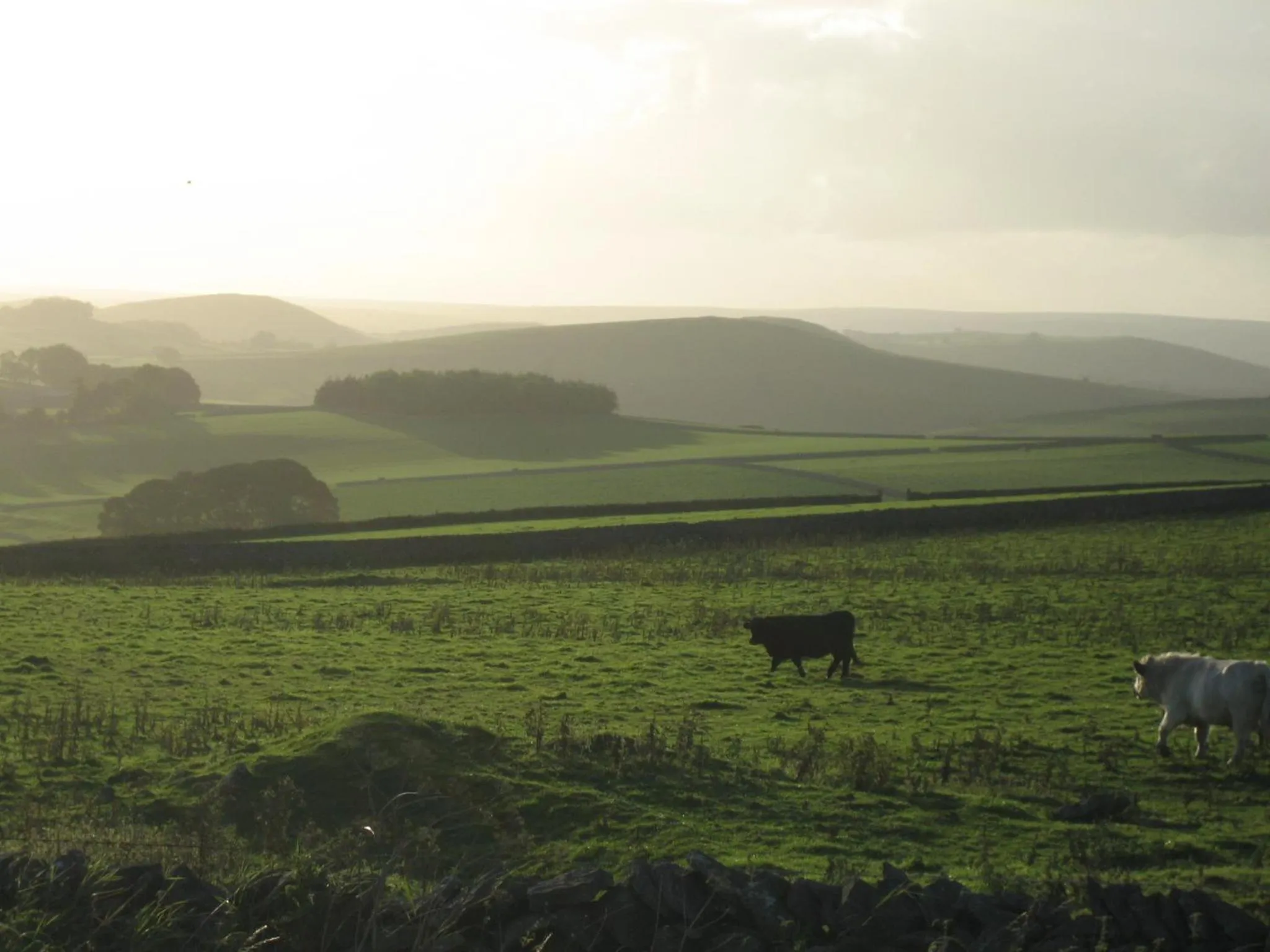 Natural landscape in Biggin Hall Country House Hotel