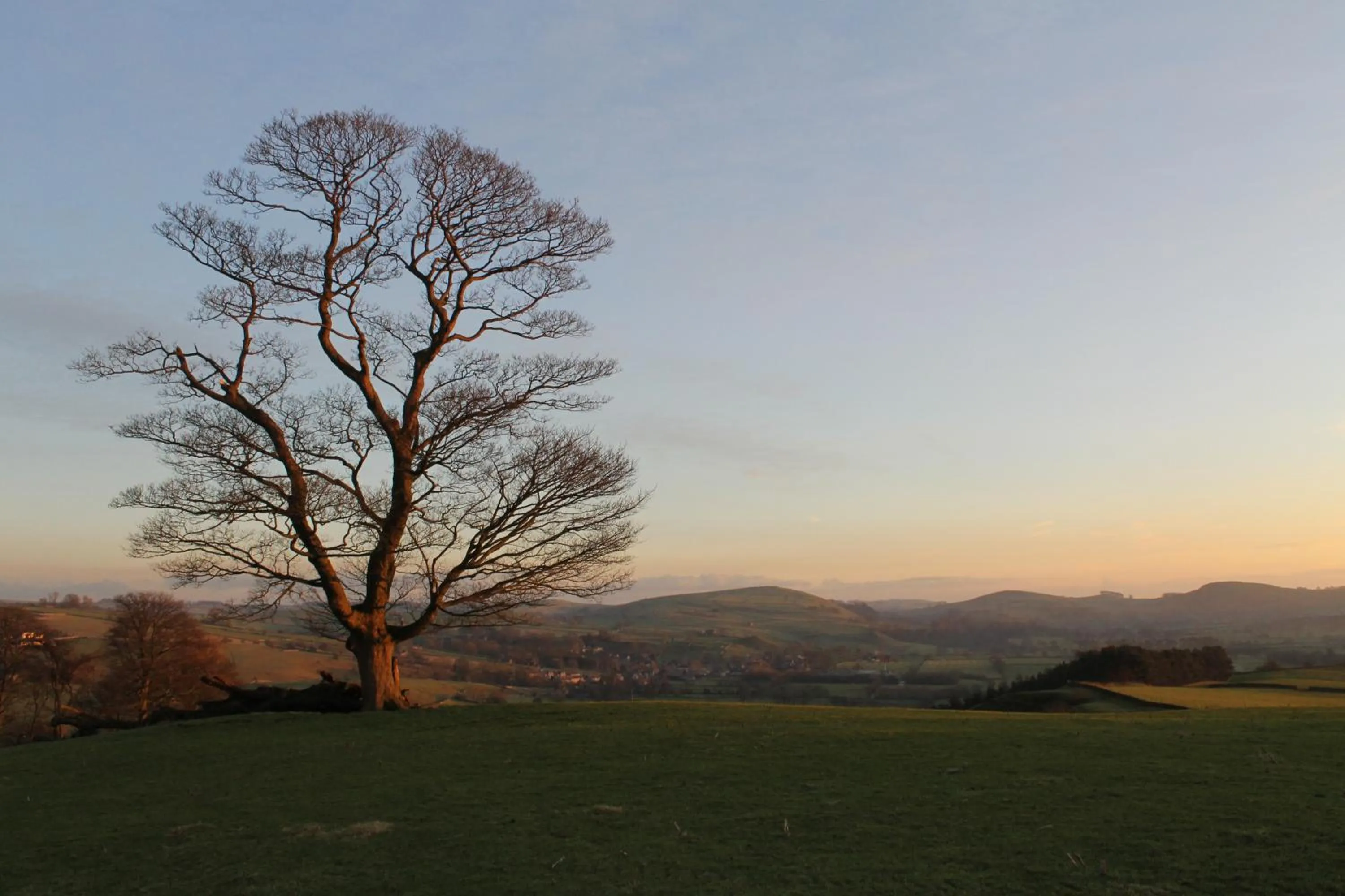 Natural landscape in Biggin Hall Country House Hotel