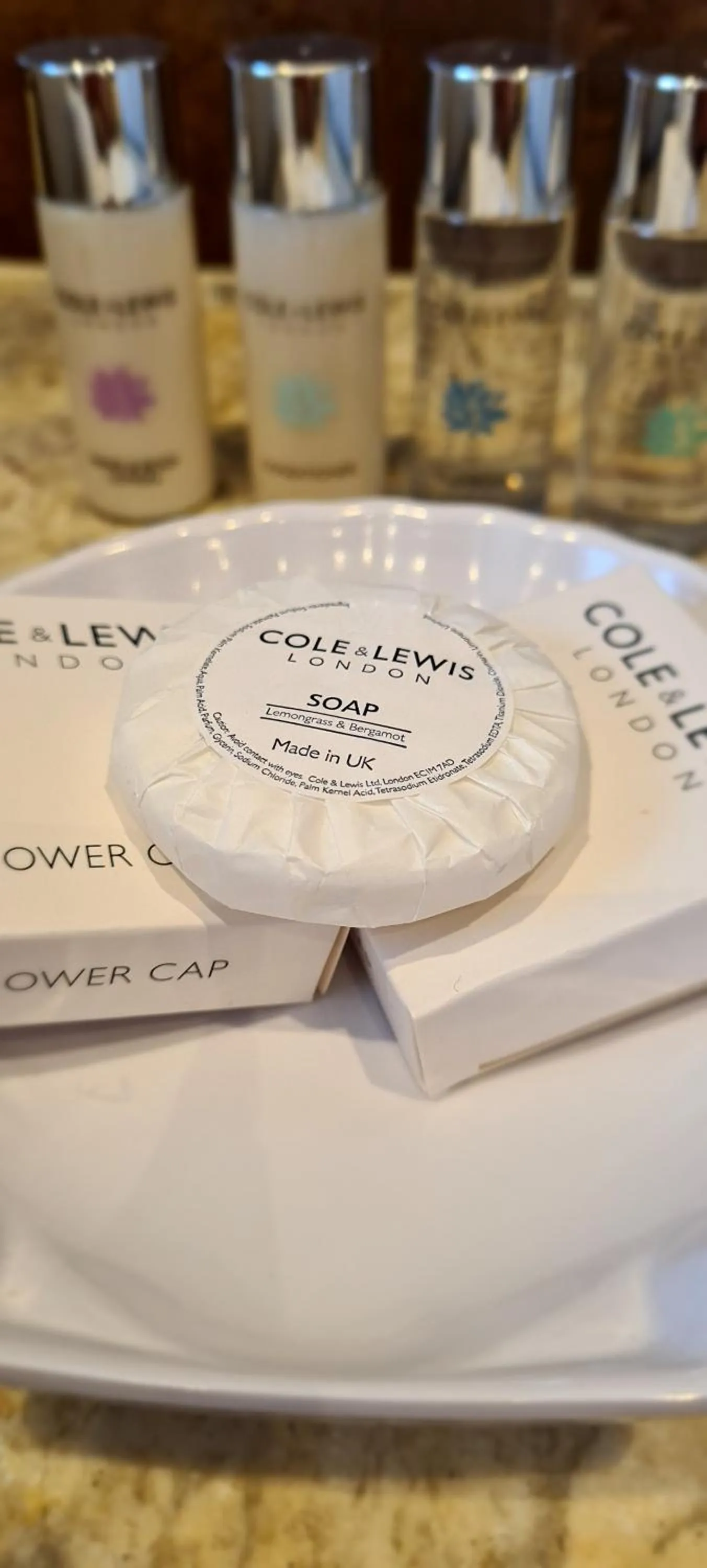 Bathroom in Biggin Hall Country House Hotel