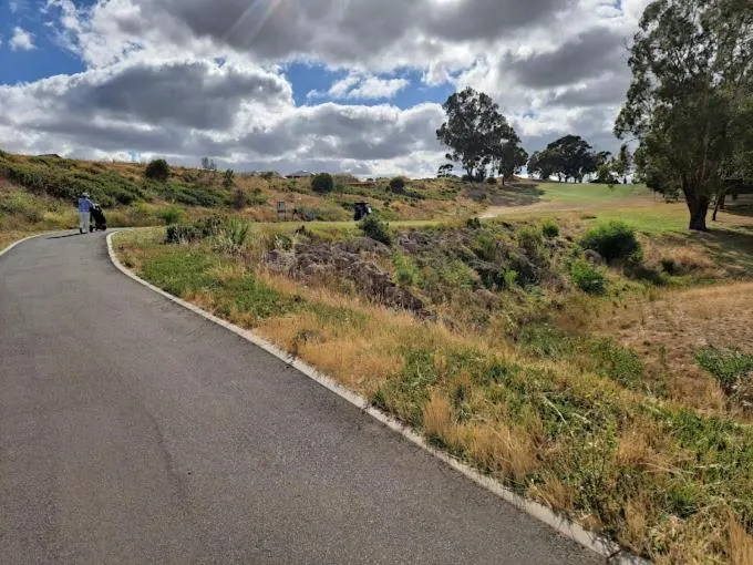 Natural landscape in Apartments on Tolmie
