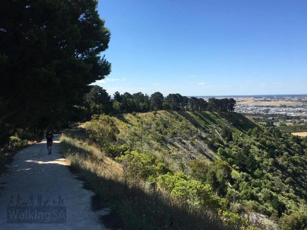 Nearby landmark in Apartments on Tolmie