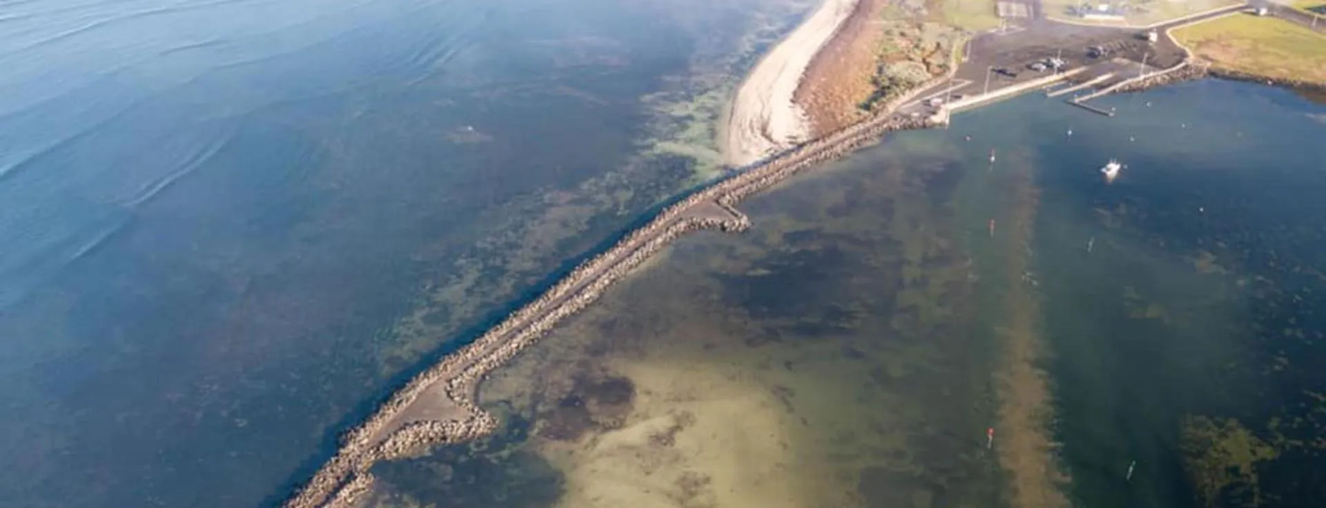 Natural landscape in Apartments on Tolmie