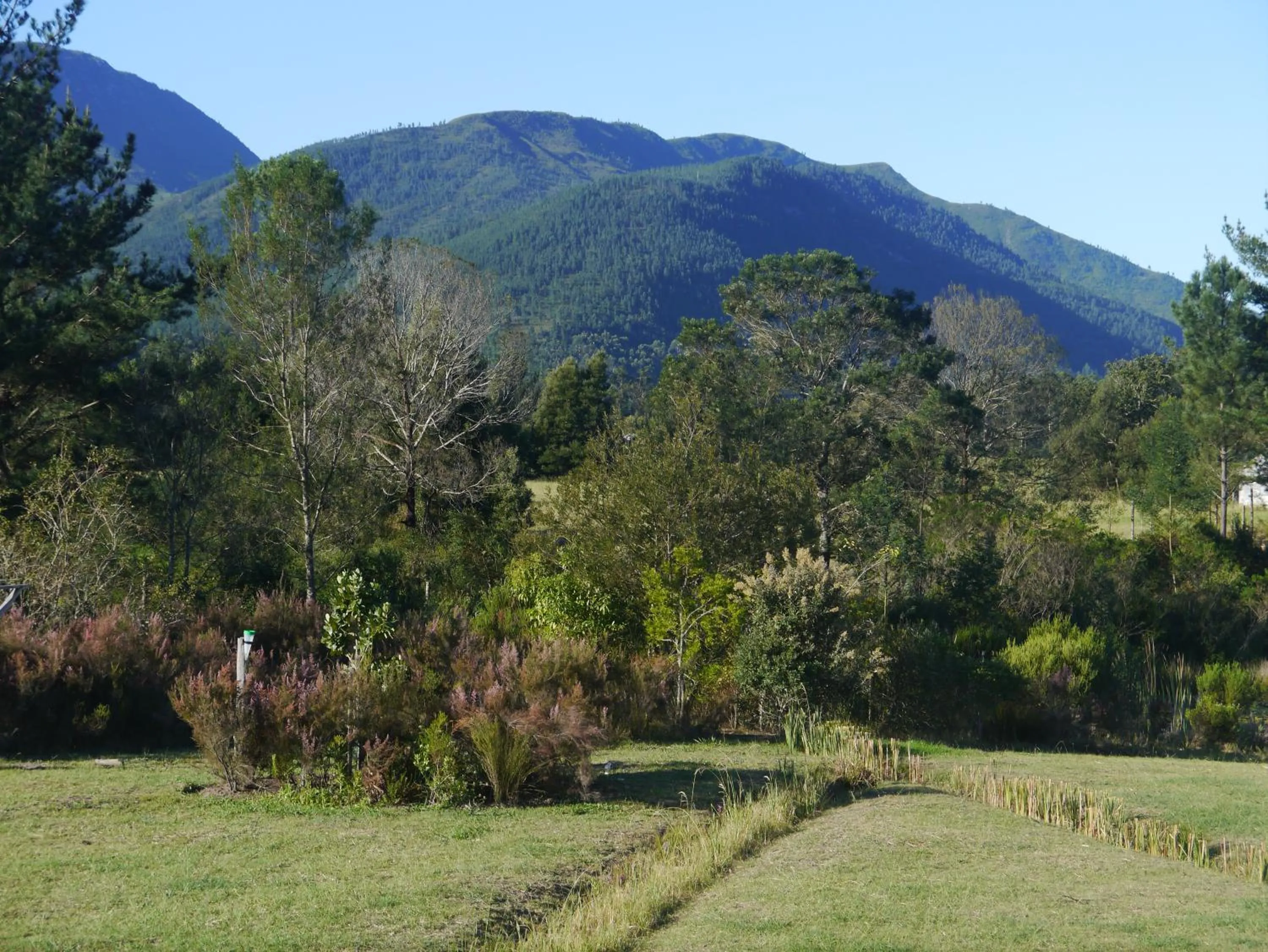 Natural landscape in Buffelsdam Country House