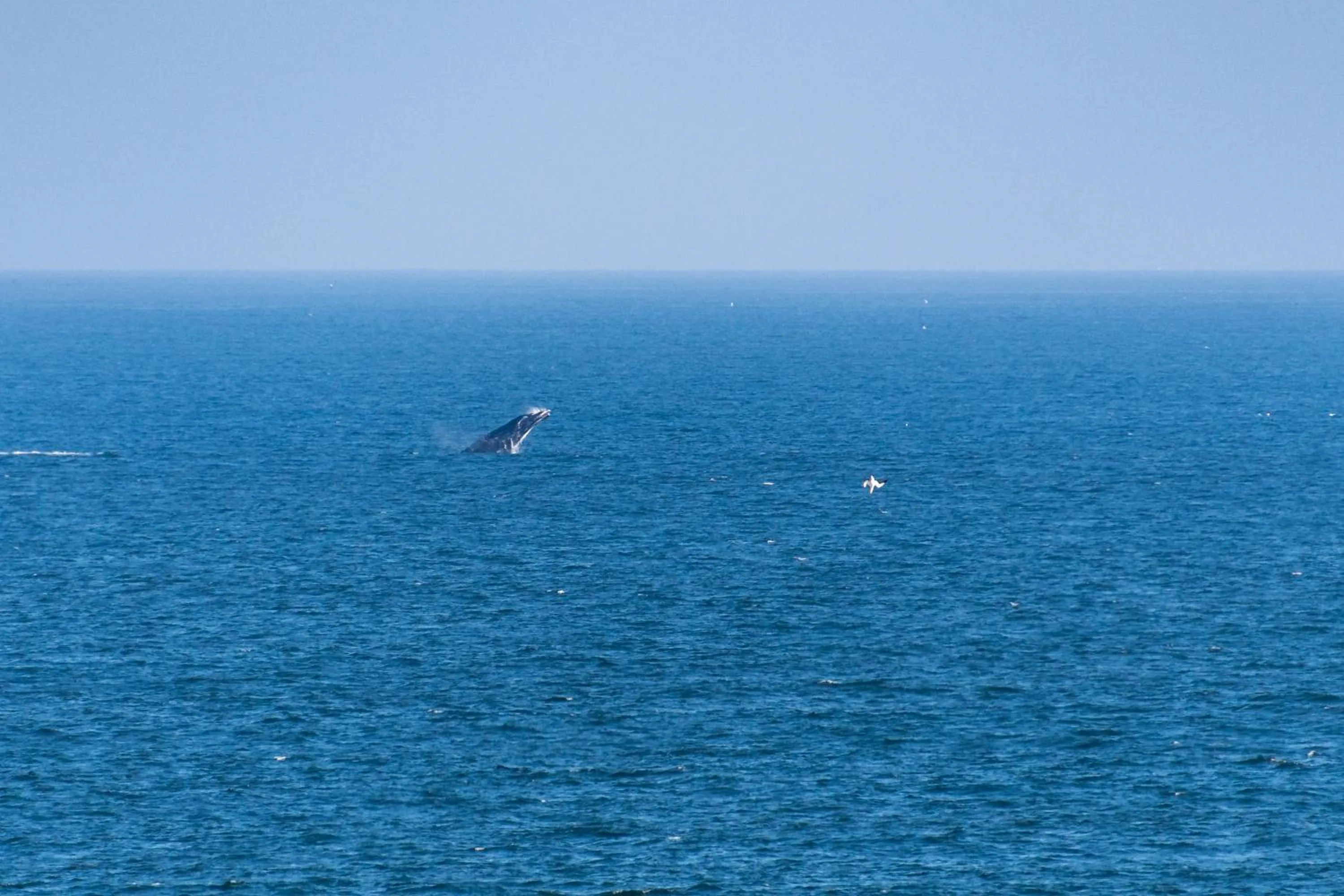 Natural landscape in Buffelsdam Country House