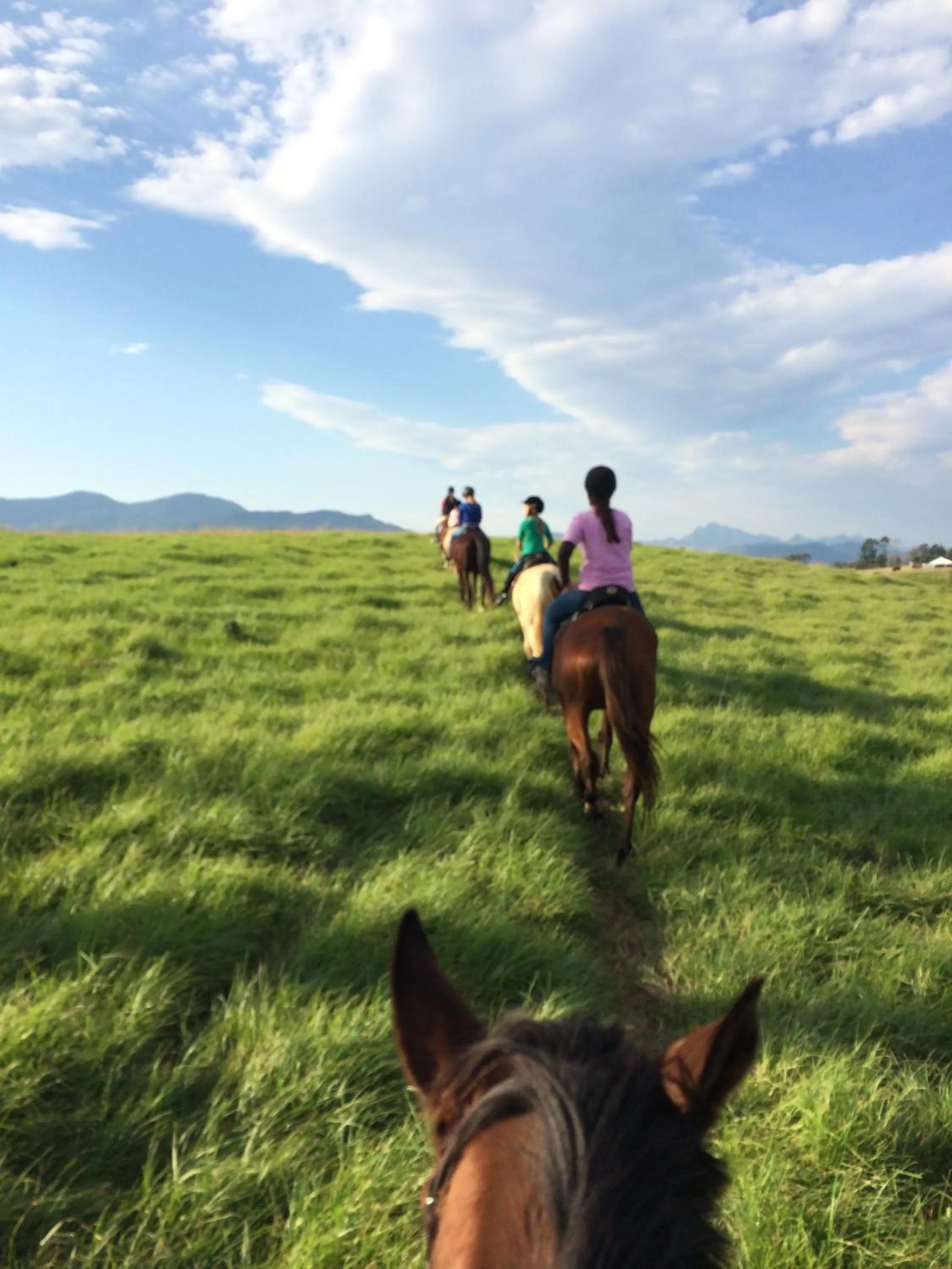 Horse-riding in Buffelsdam Country House