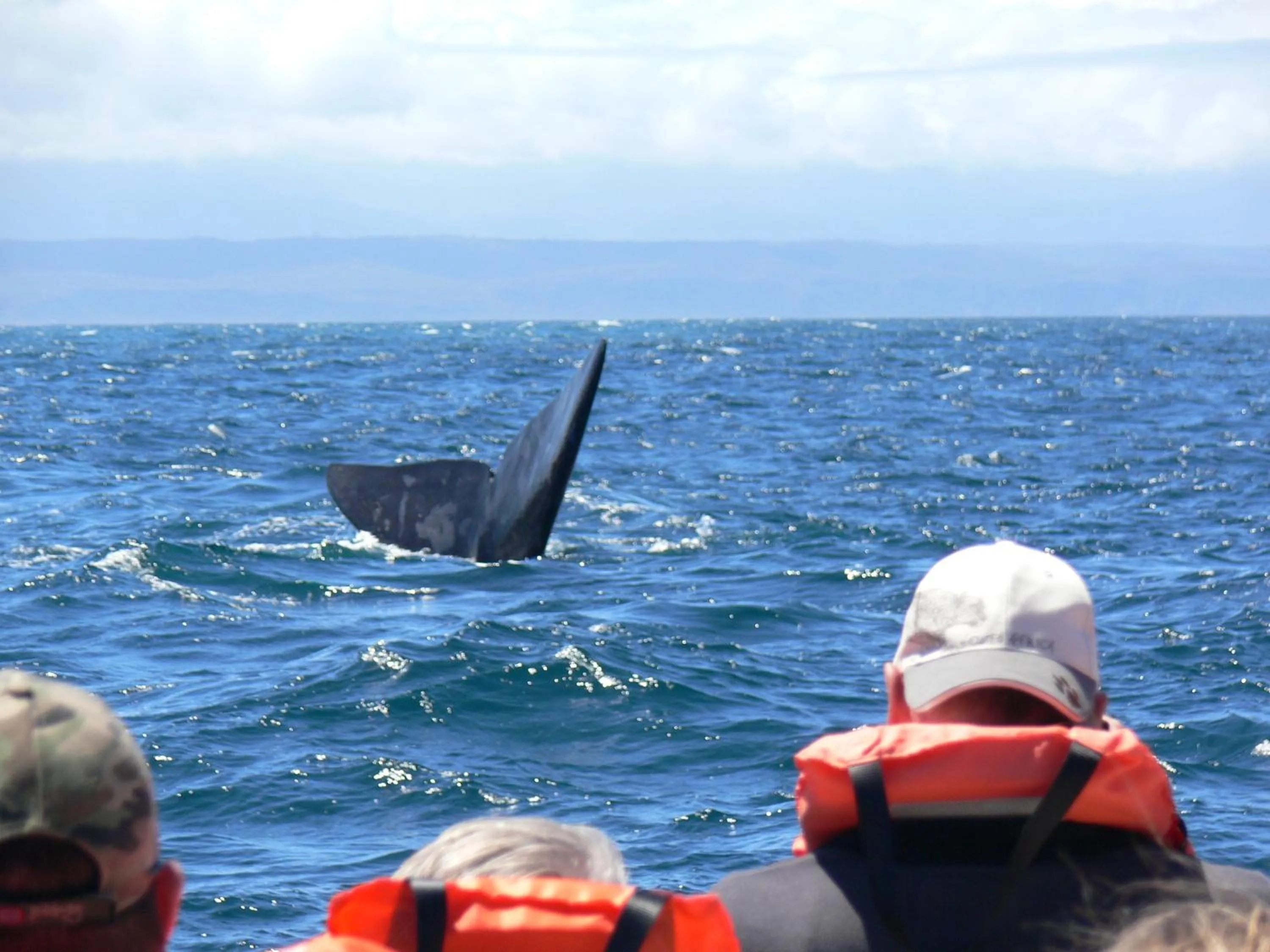 Activities in Buffelsdam Country House