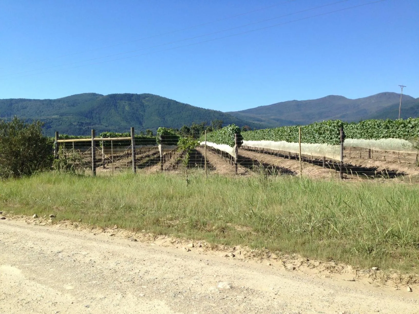 Natural landscape in Buffelsdam Country House